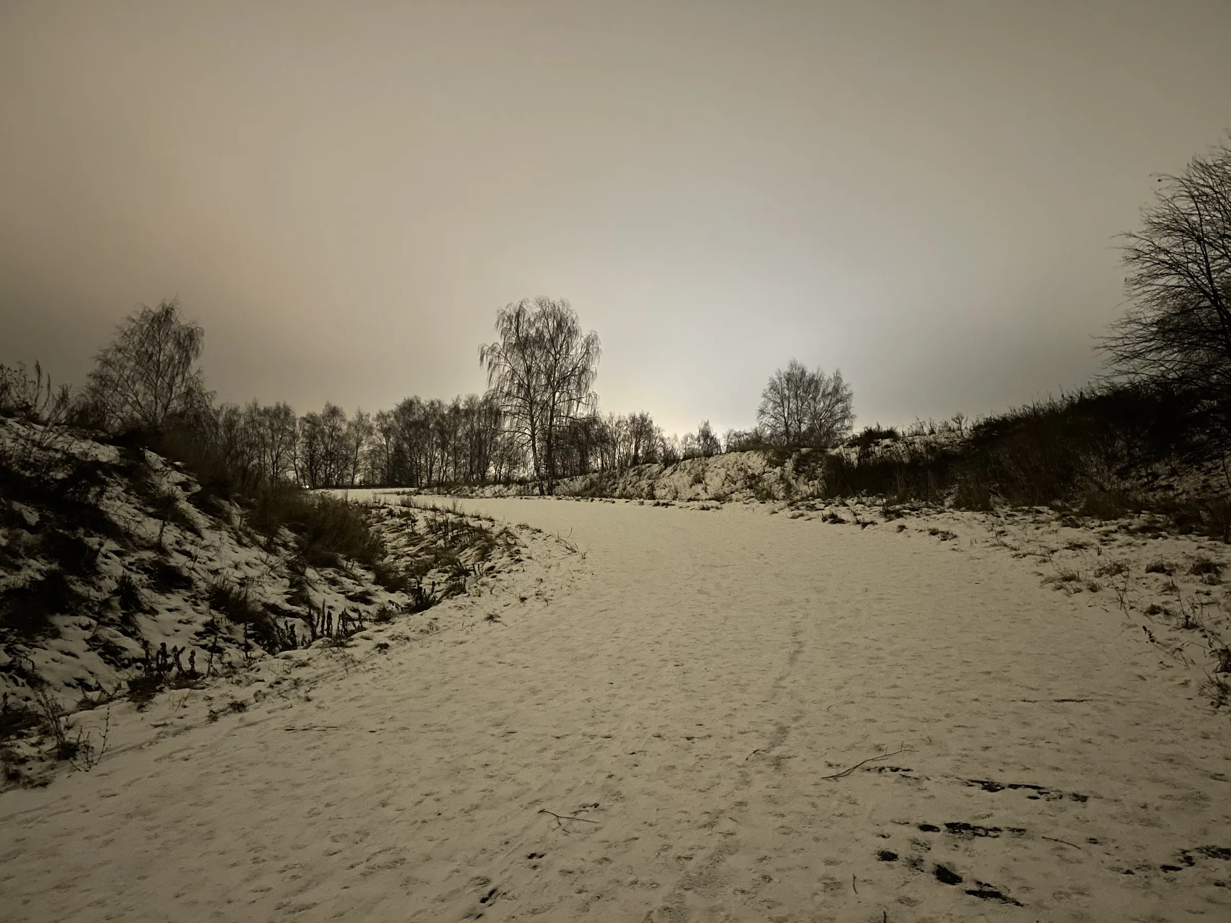 Зимняя дорога в парке, фото 23