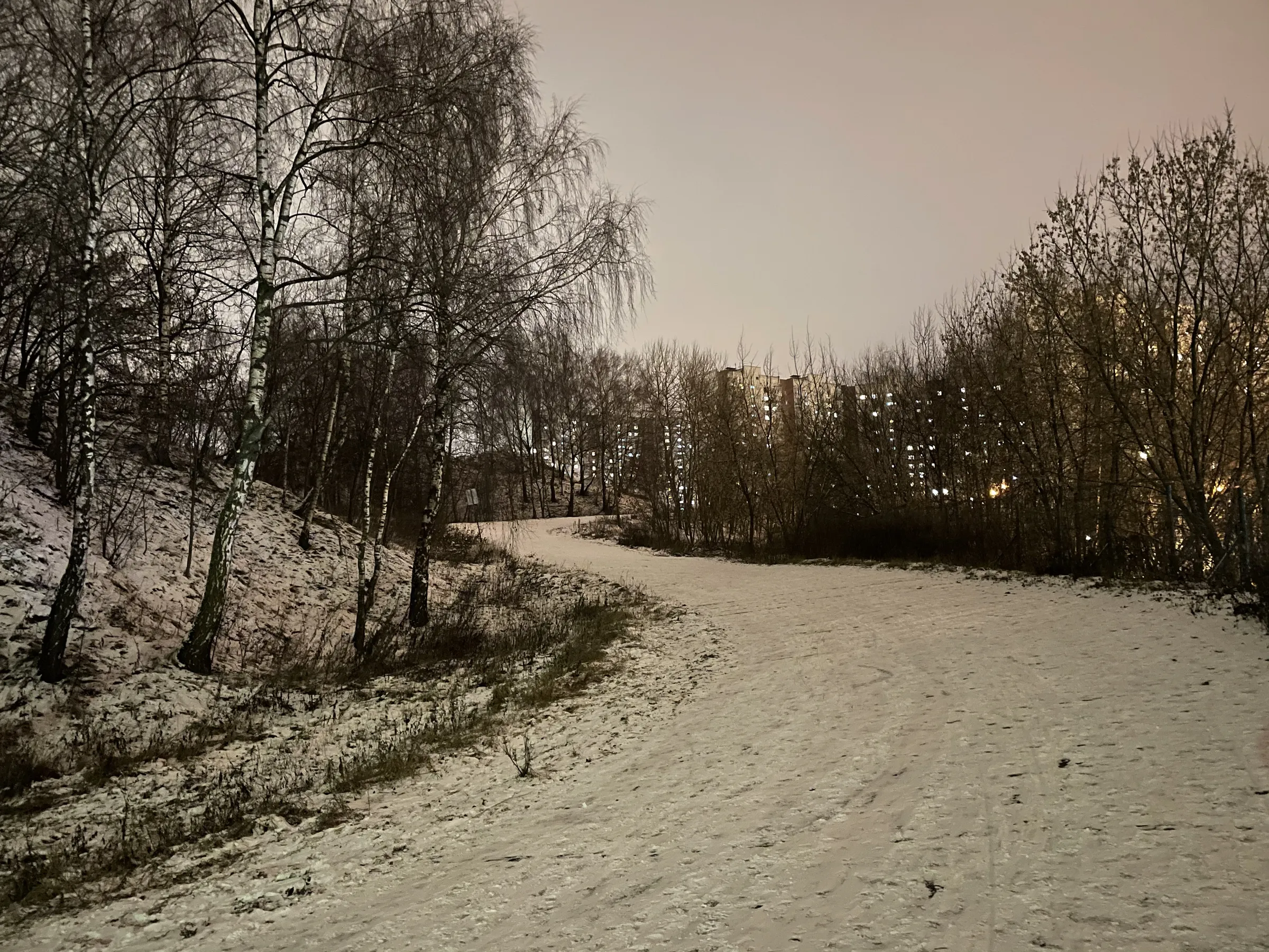 Зимняя дорога в парке, фото 13