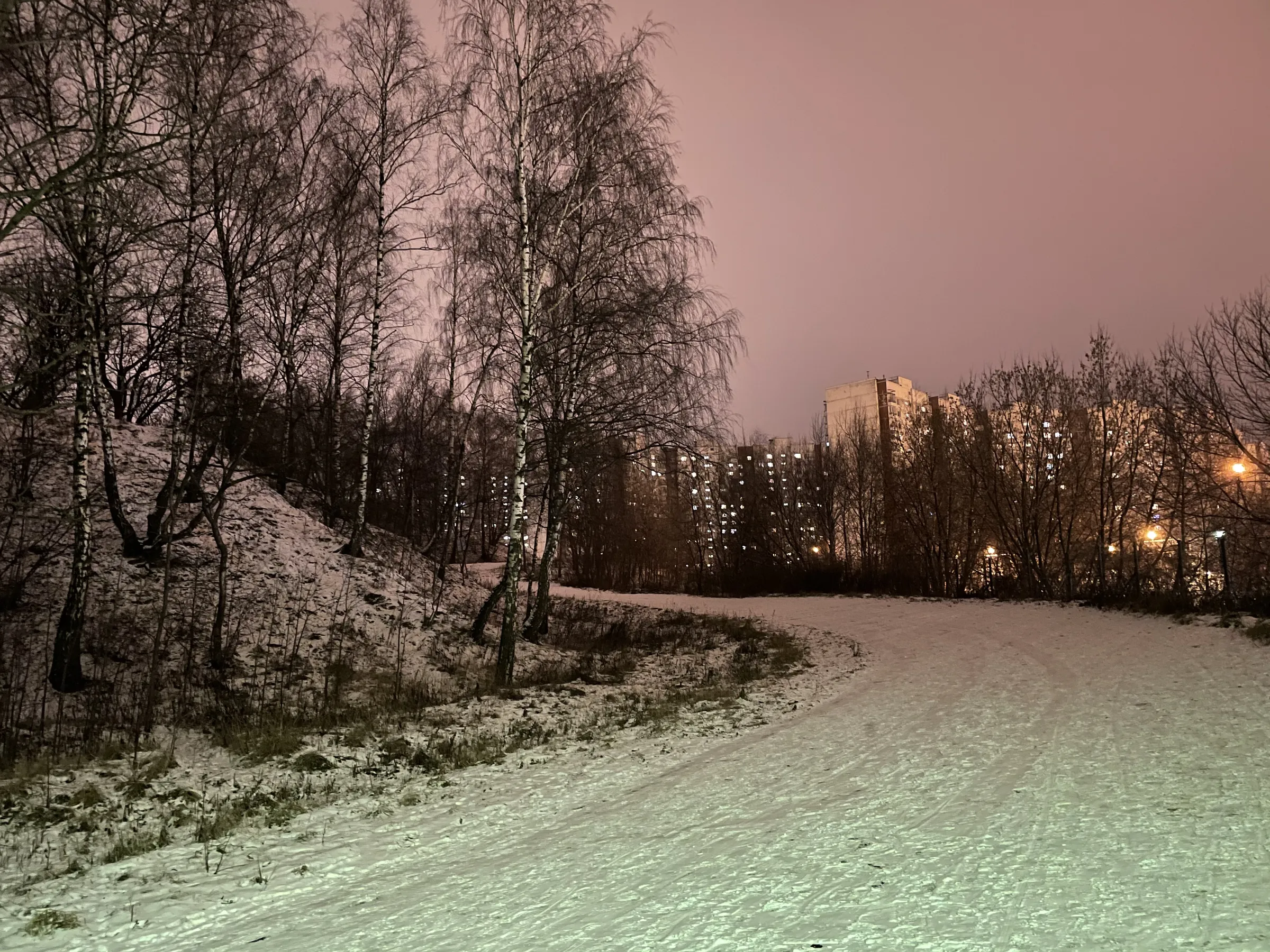 Зимняя дорога в парке, фото 12