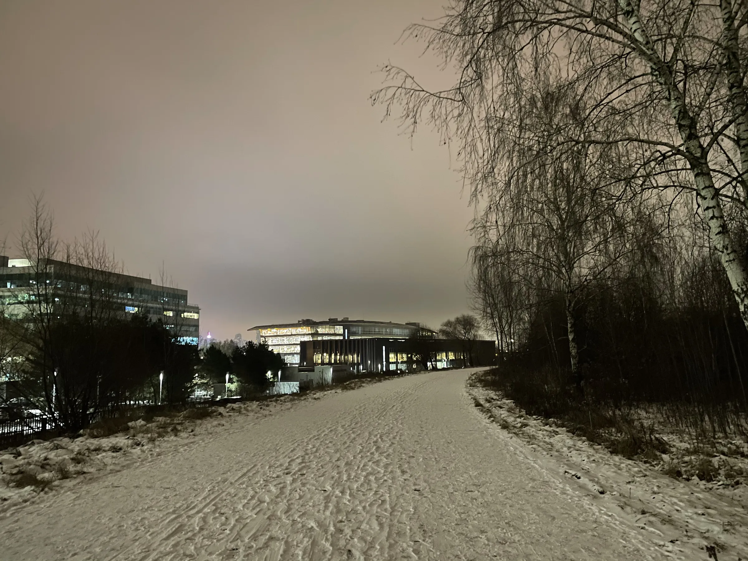 Зимняя дорога в парке, фото 9