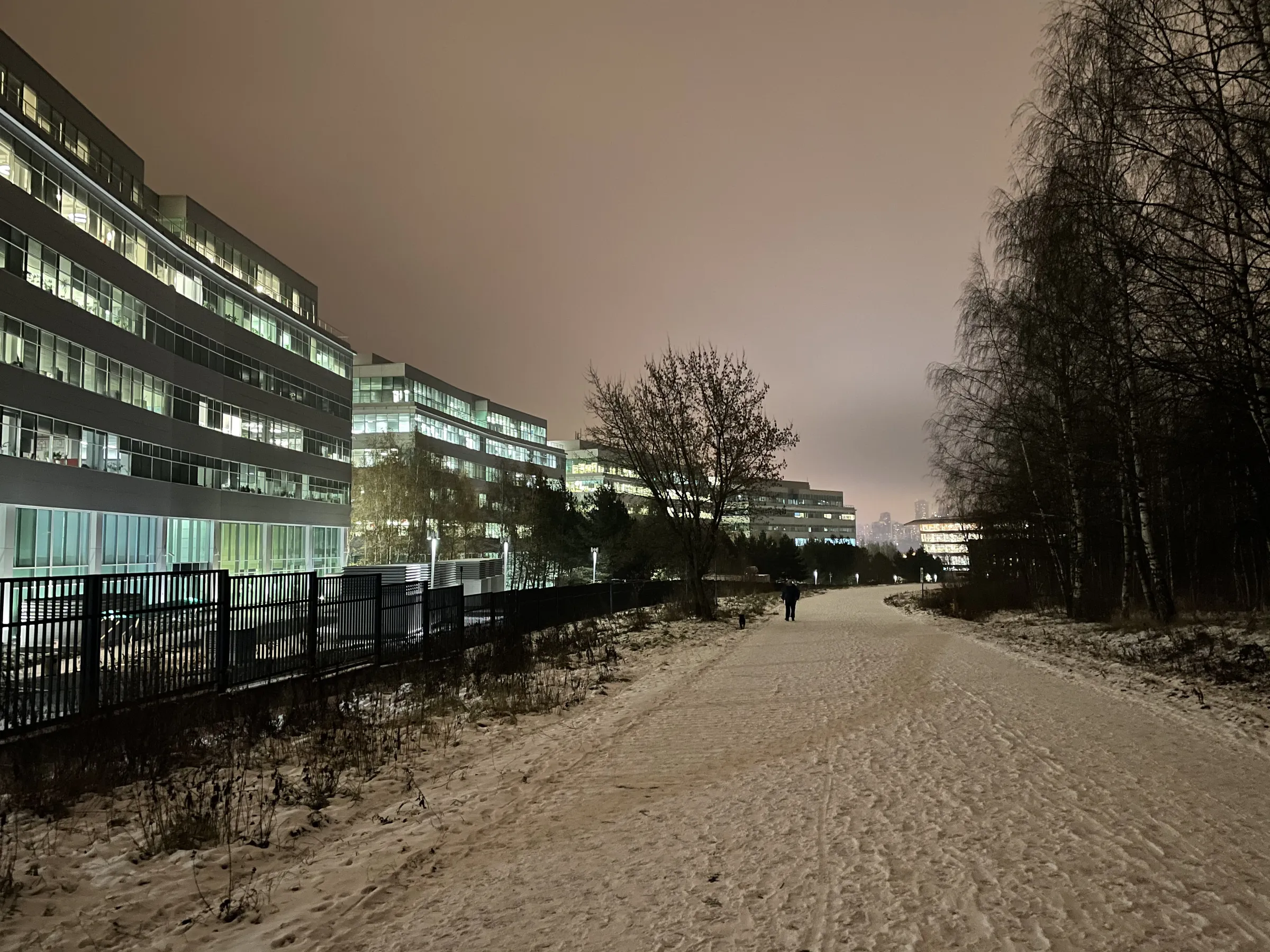 Зимняя дорога в парке, фото 10