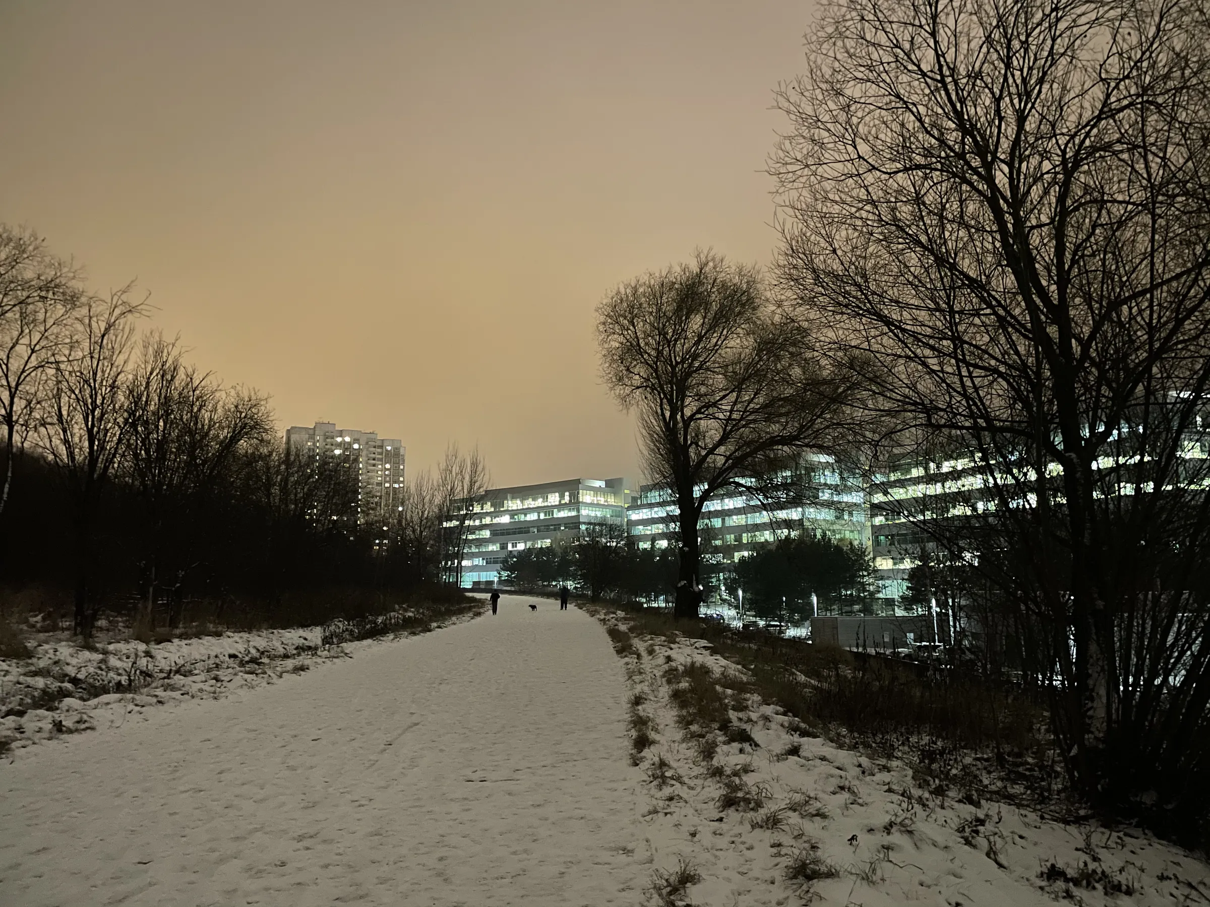 Зимняя дорога в парке, фото 7