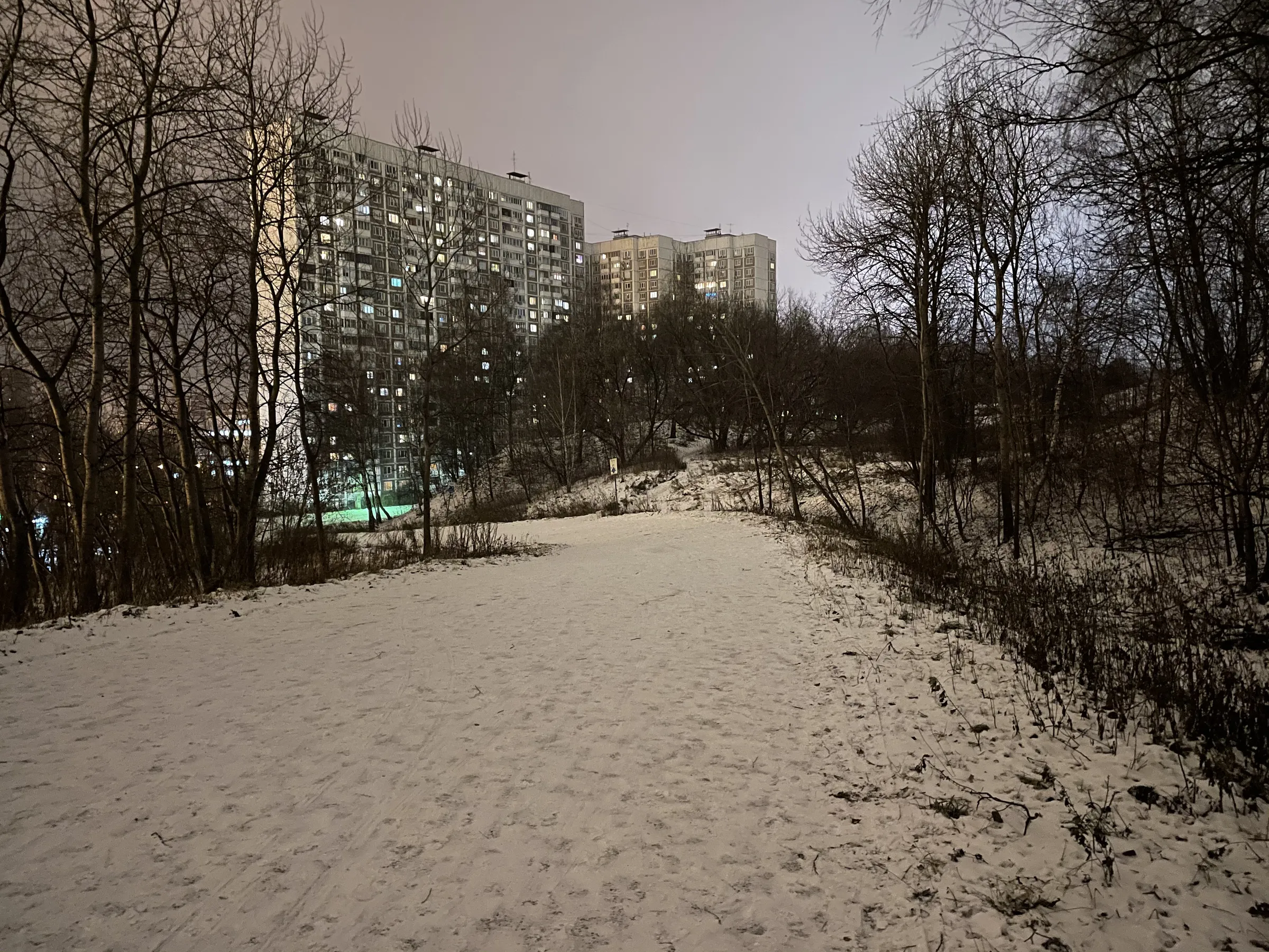 Зимняя дорога в парке, фото 15