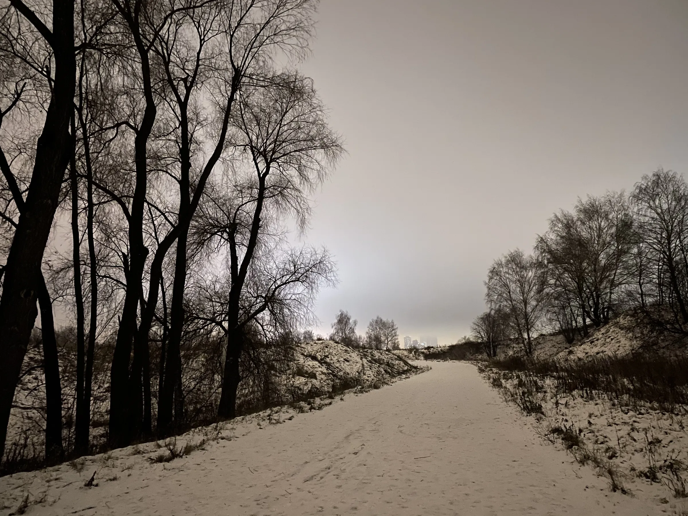 Зимняя дорога в парке, фото 21