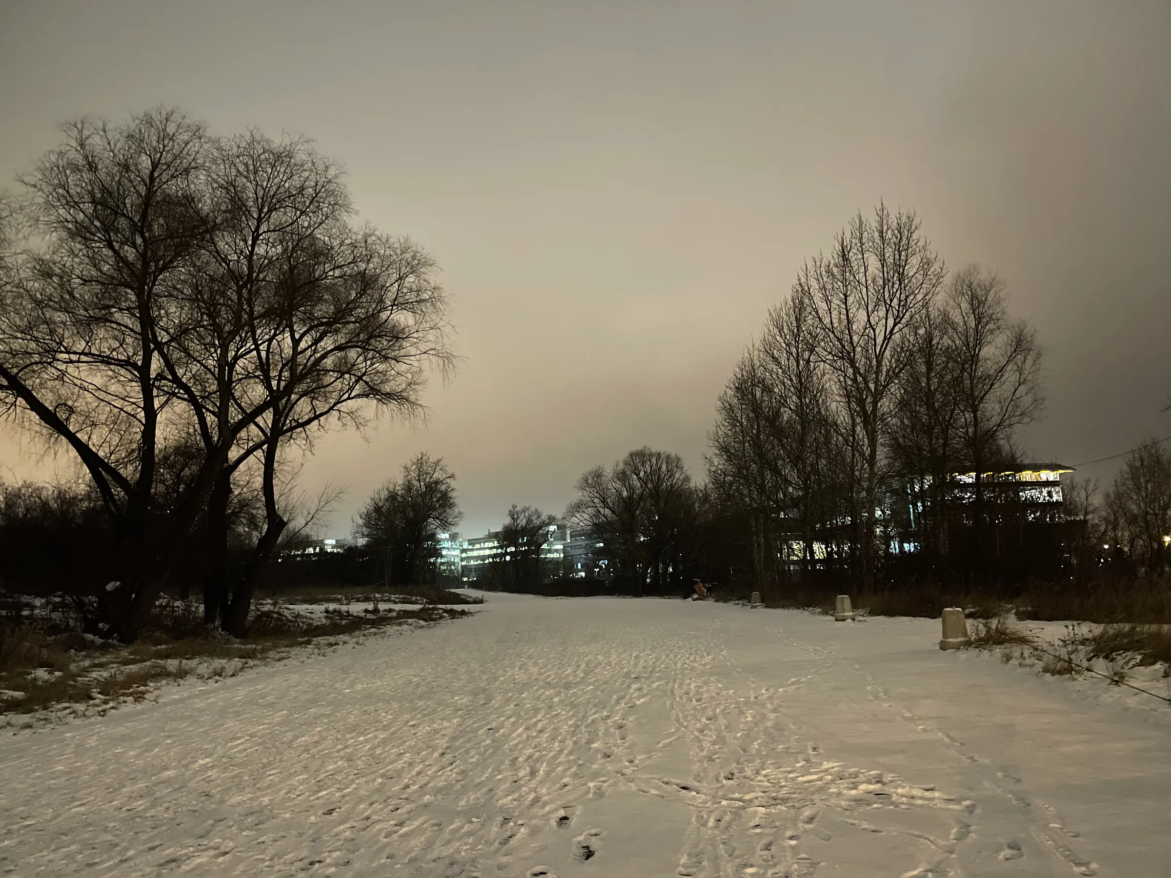 Зимняя дорога в парке, фото 2