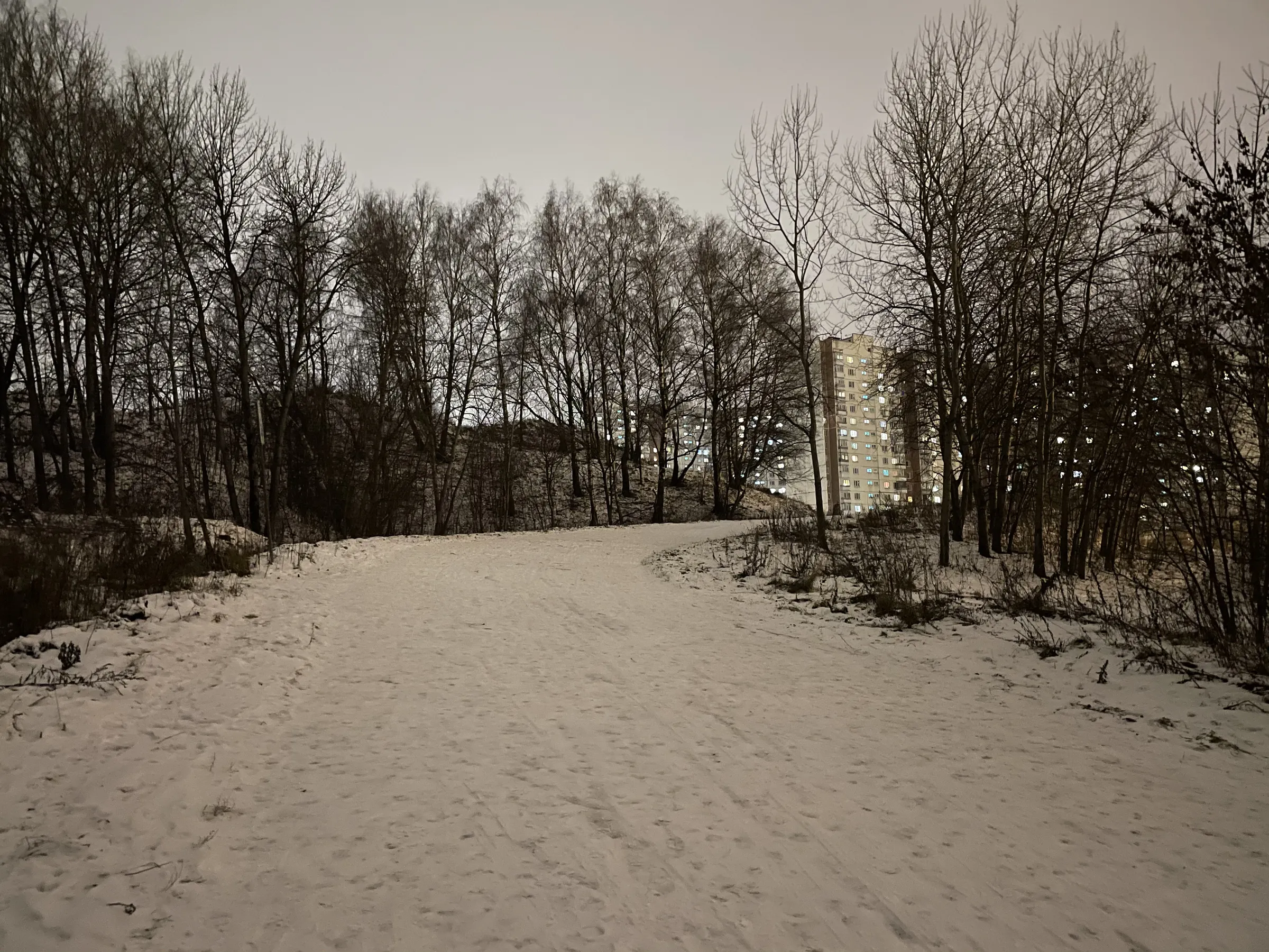 Зимняя дорога в парке, фото 14