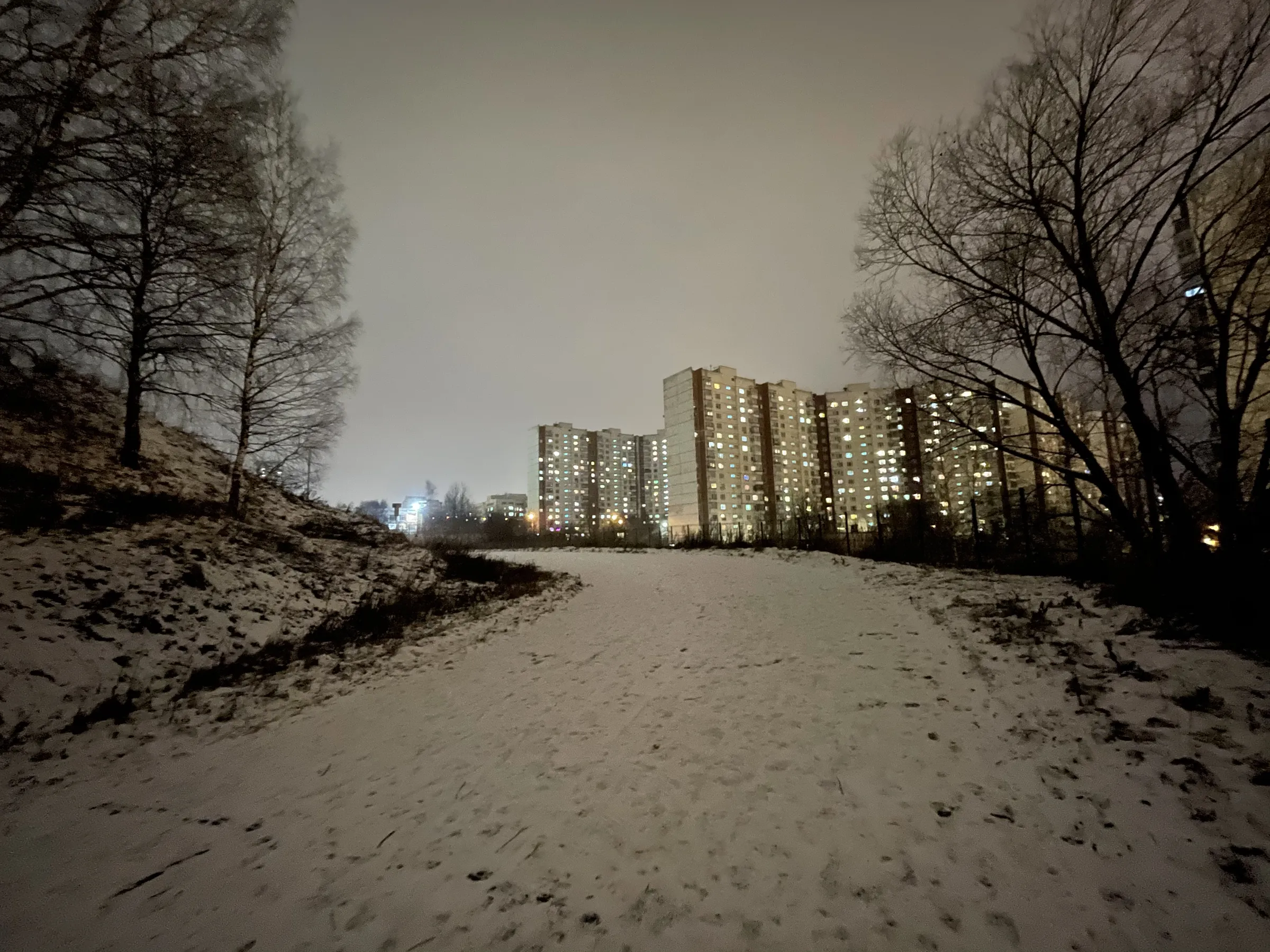Зимняя дорога в парке, фото 16