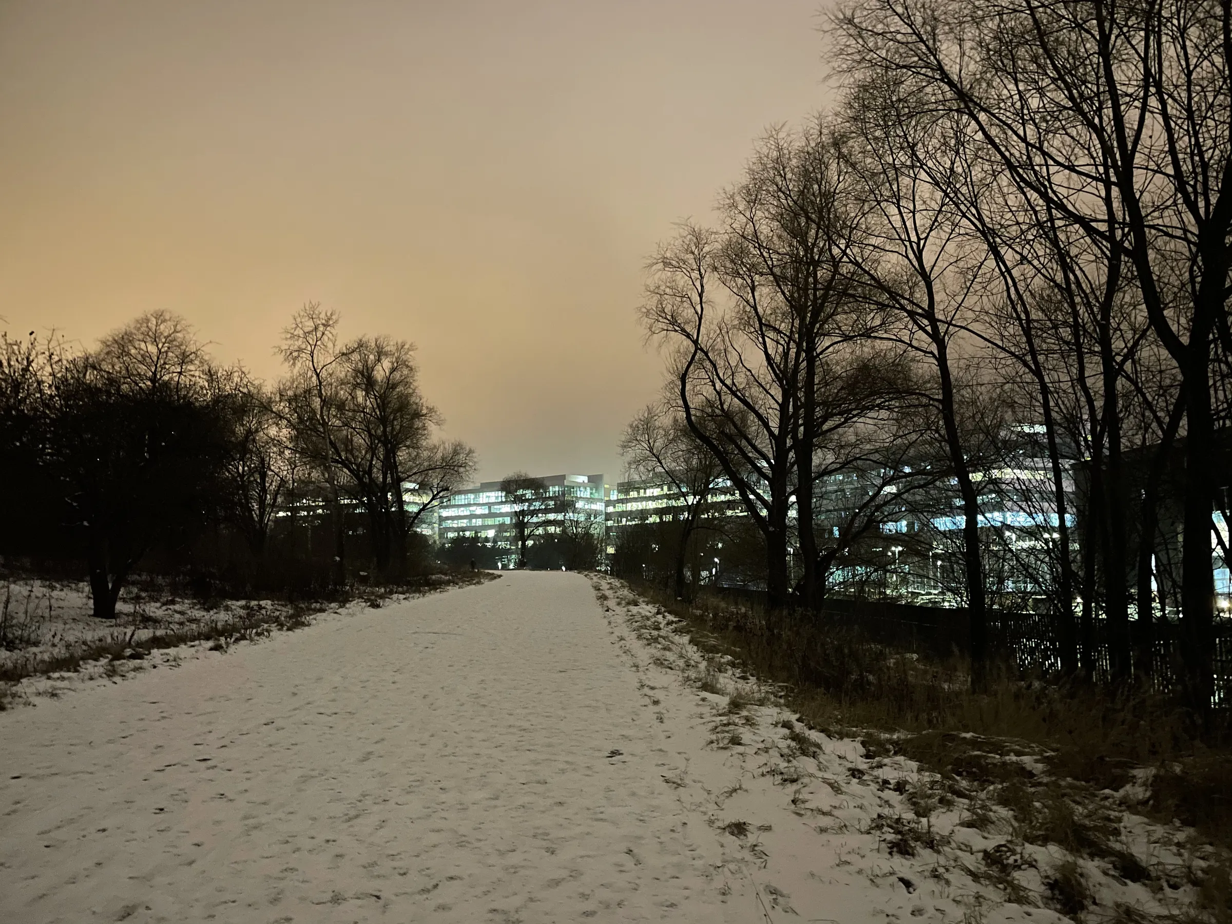 Зимняя дорога в парке, фото 6