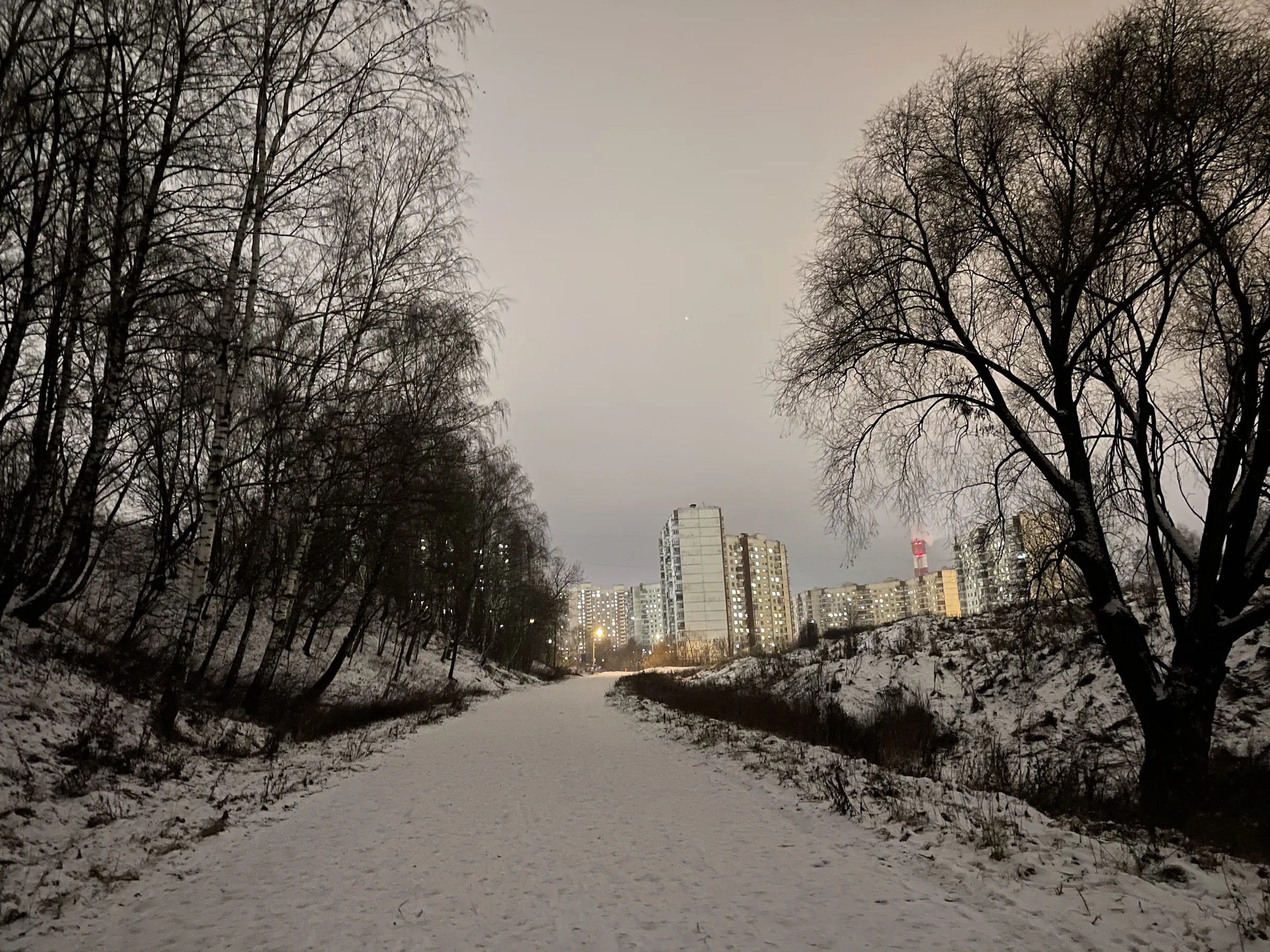 Зимняя дорога в парке, фото 20