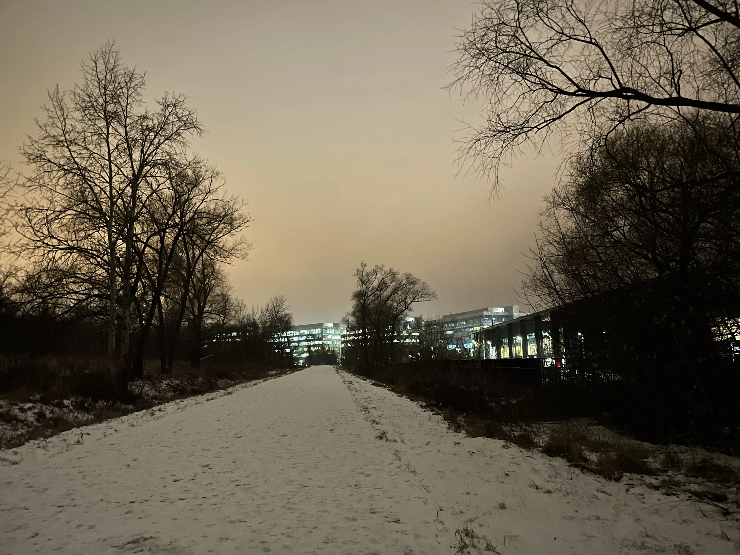 Зимняя дорога в парке, фото 4