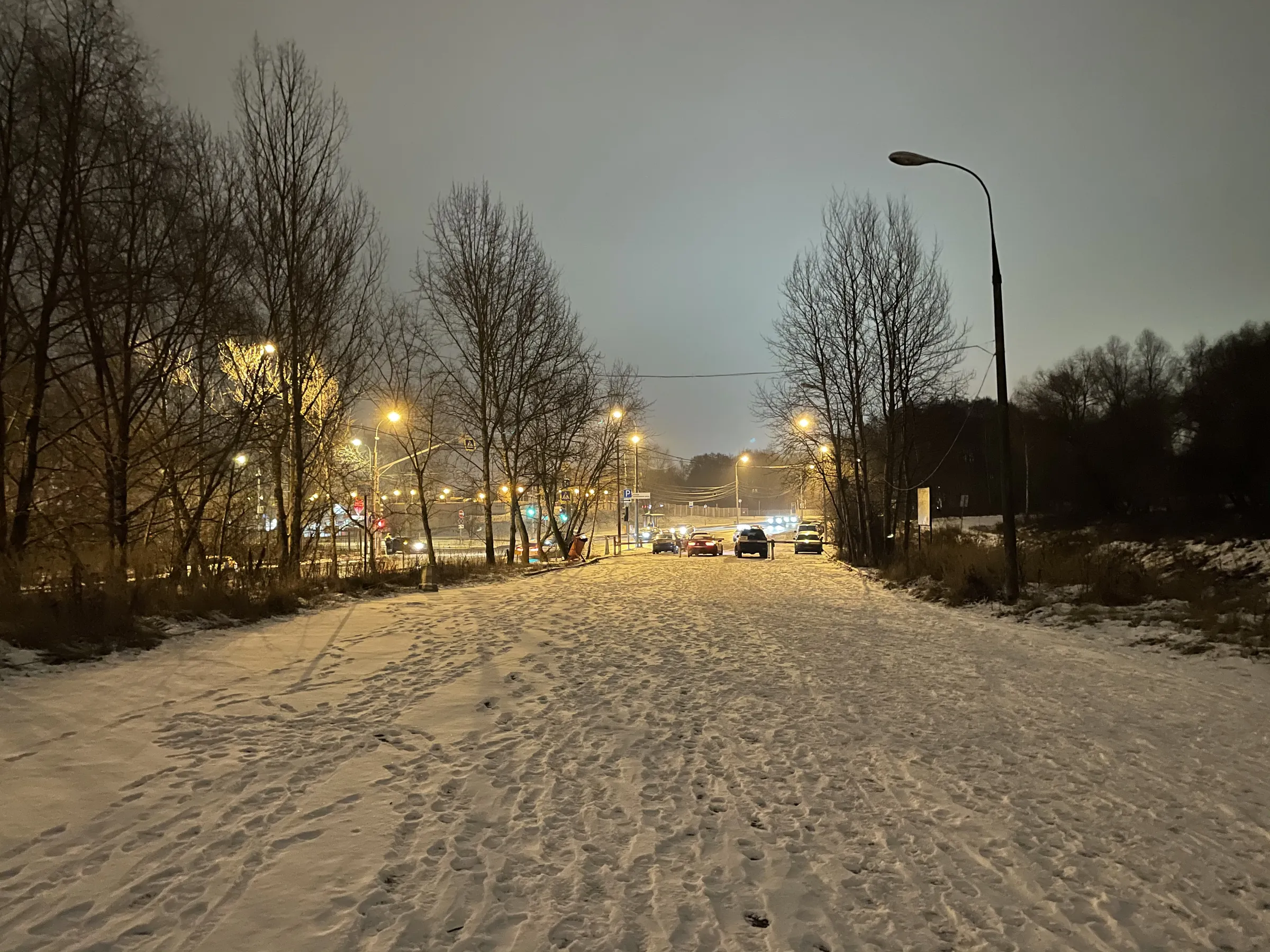Зимняя дорога в парке, фото 3