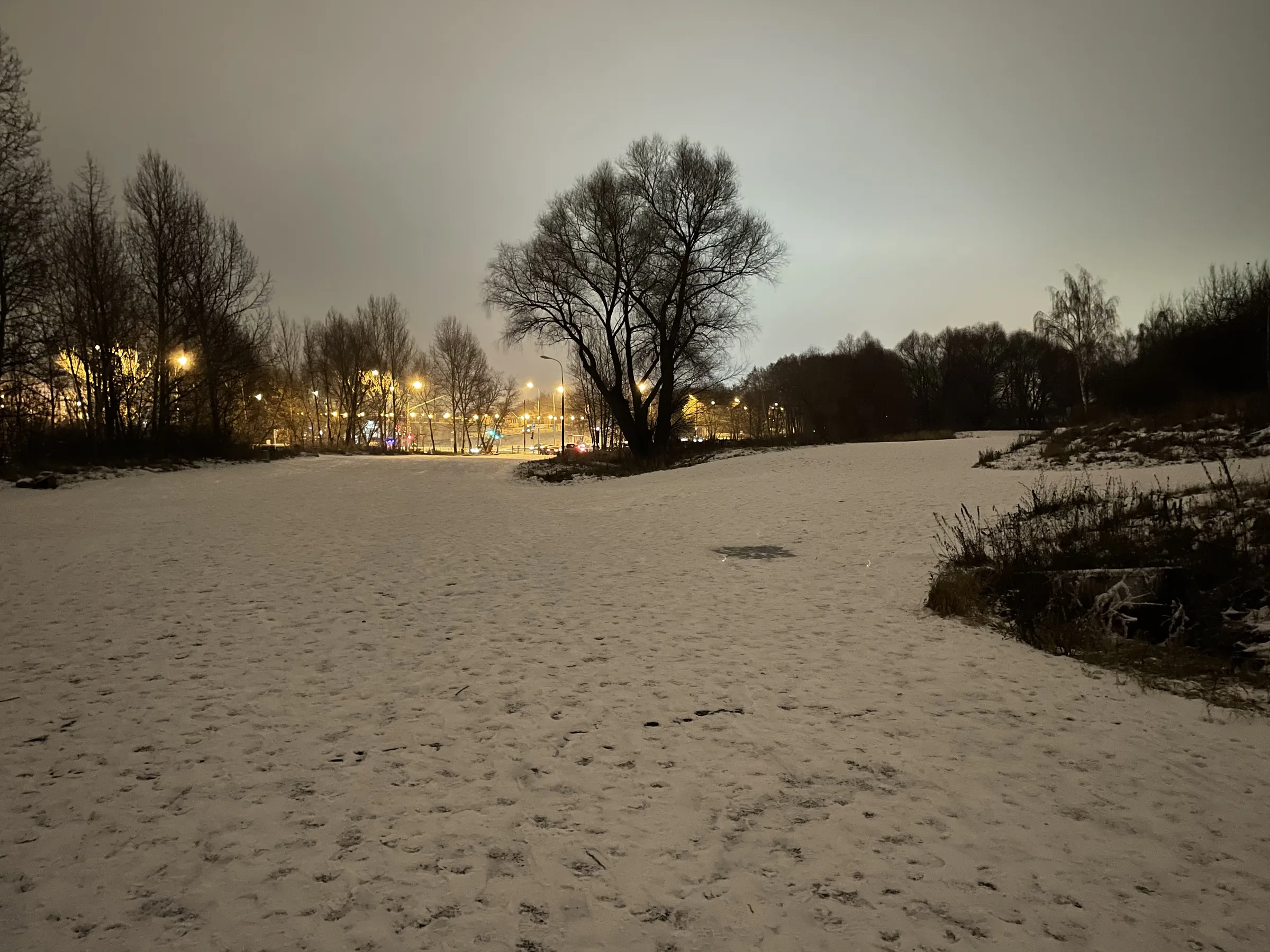 Зимняя дорога в парке, фото 5