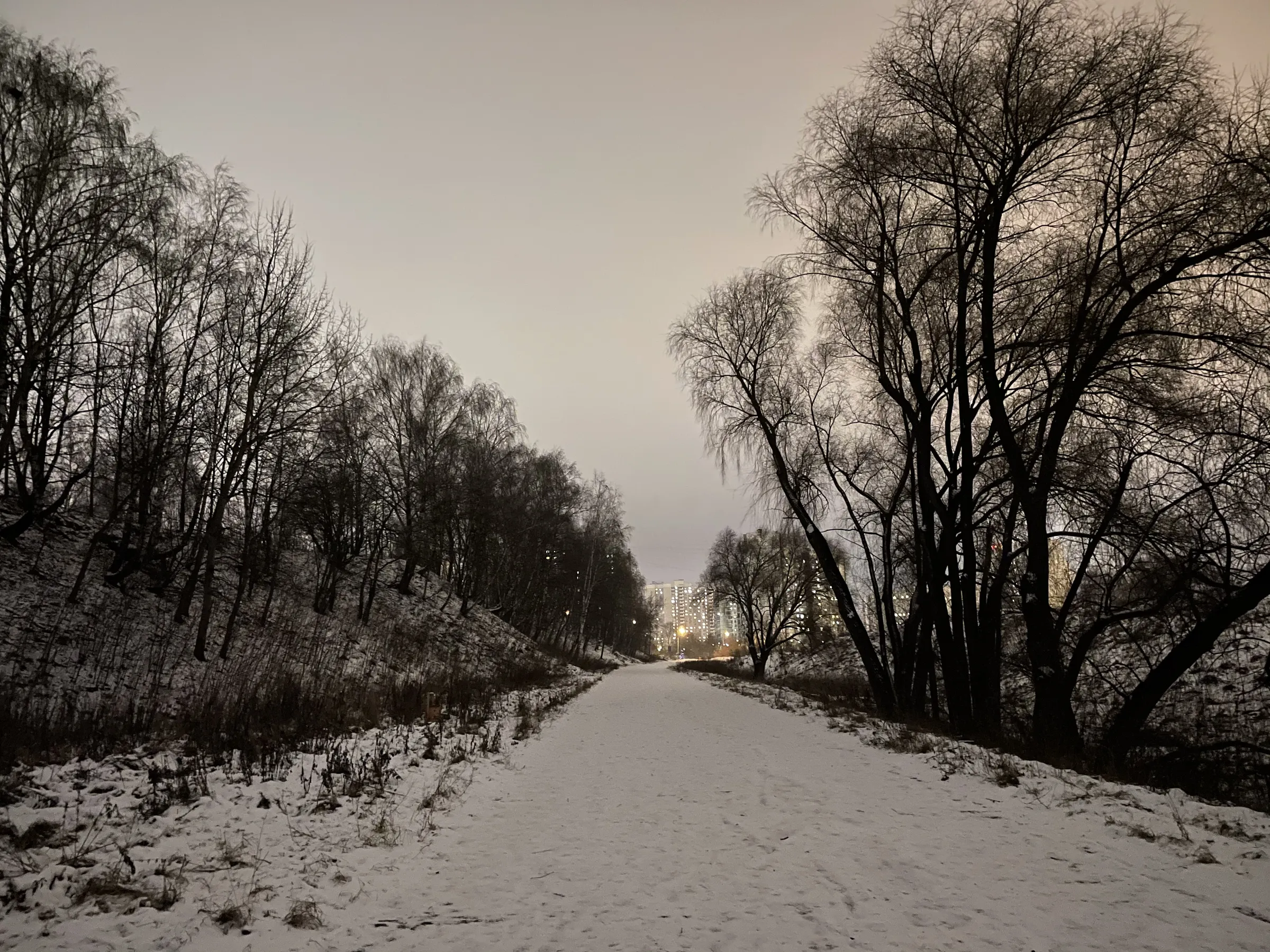 Зимняя дорога в парке, фото 22