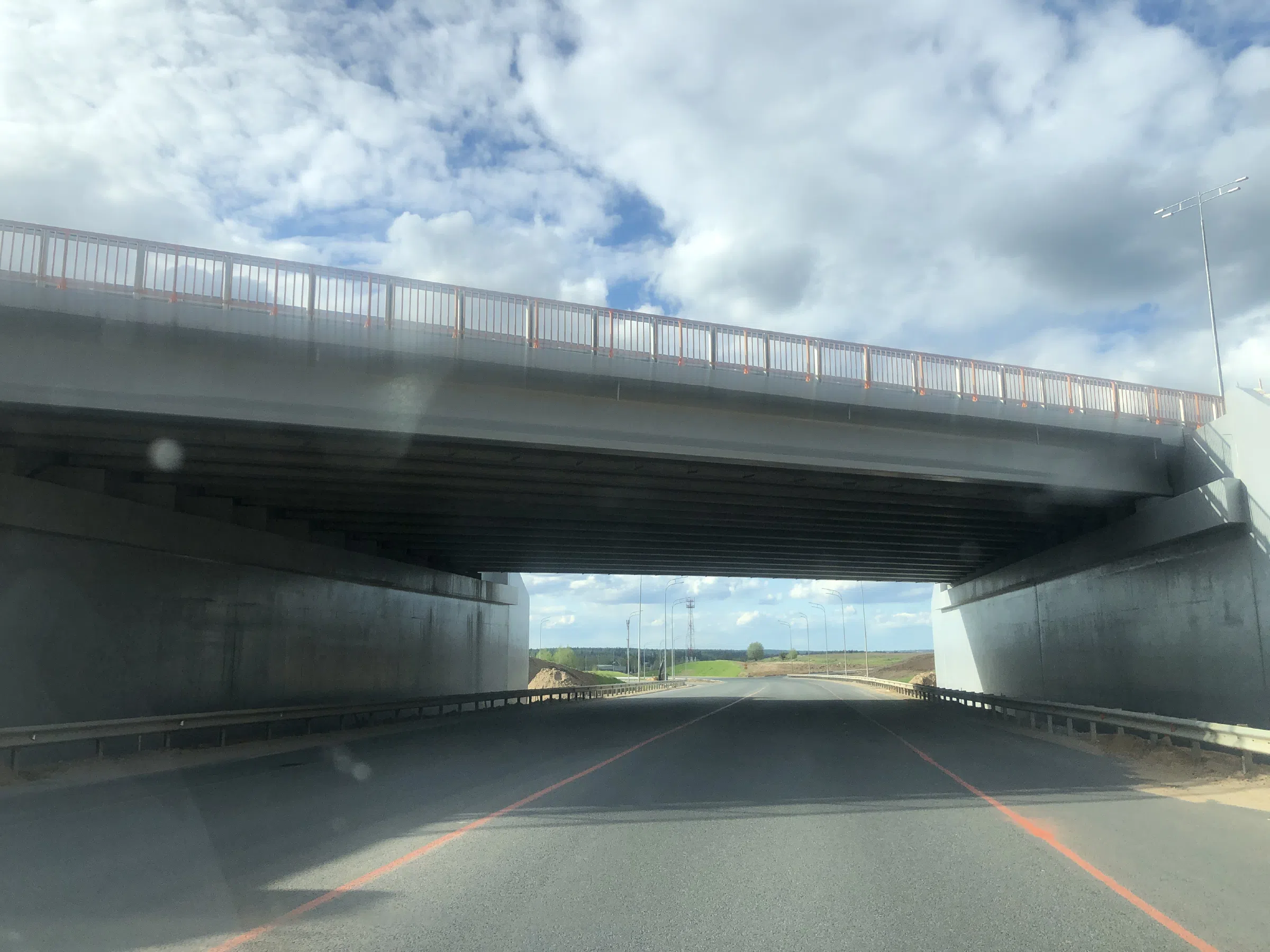 Дорога в лесу, фото 6