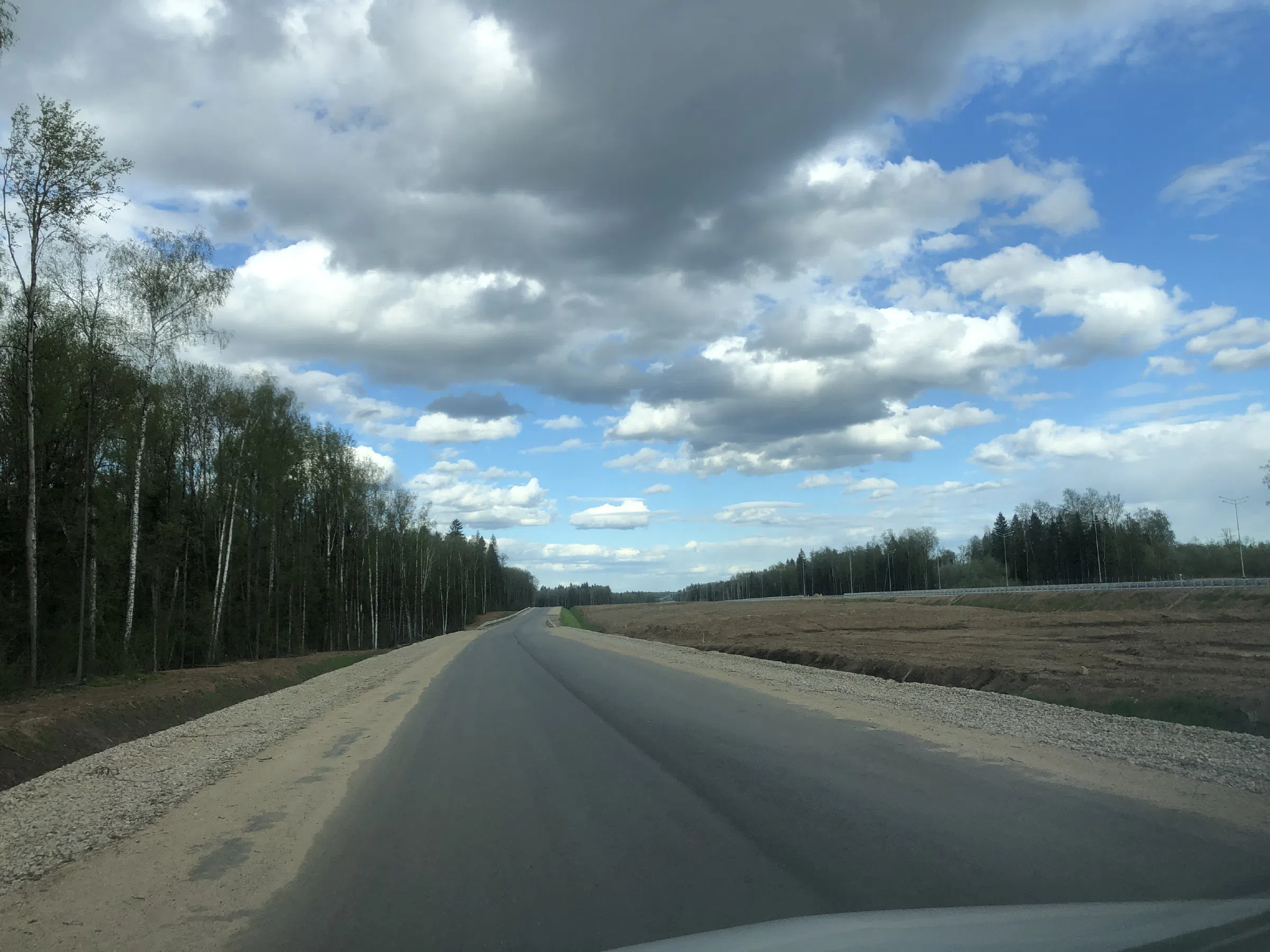 Дорога в лесу, фото 21