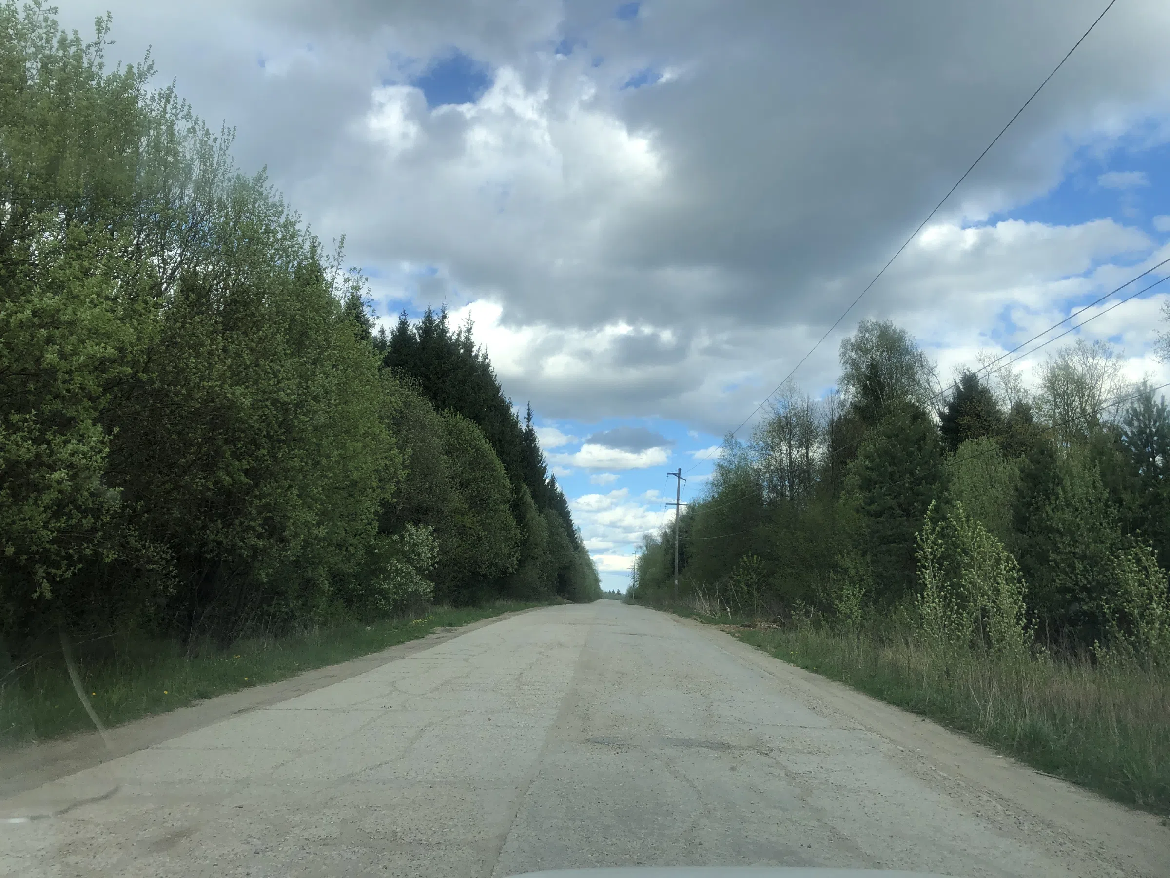 Дорога в лесу, фото 19