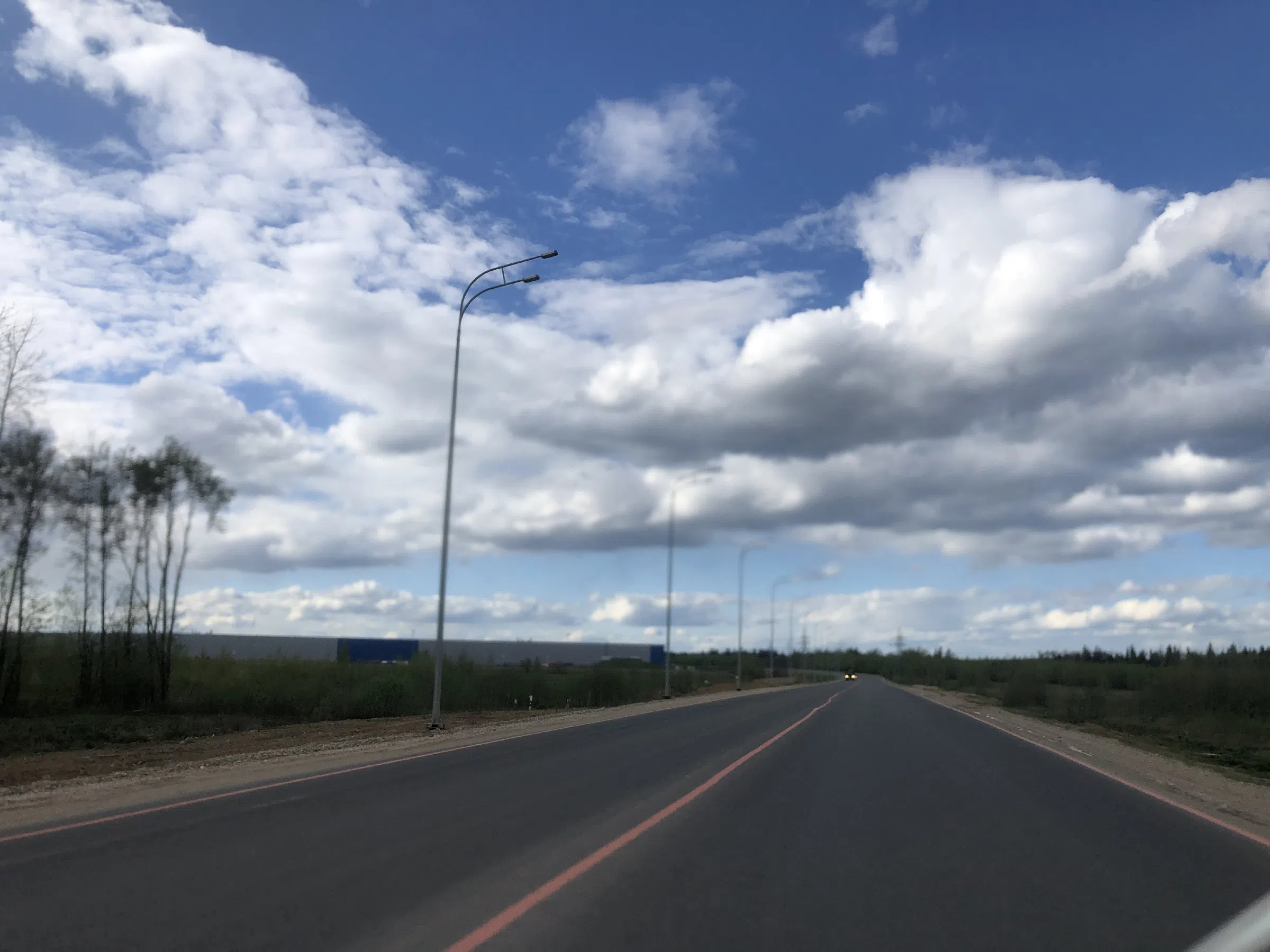 Дорога в лесу, фото 1
