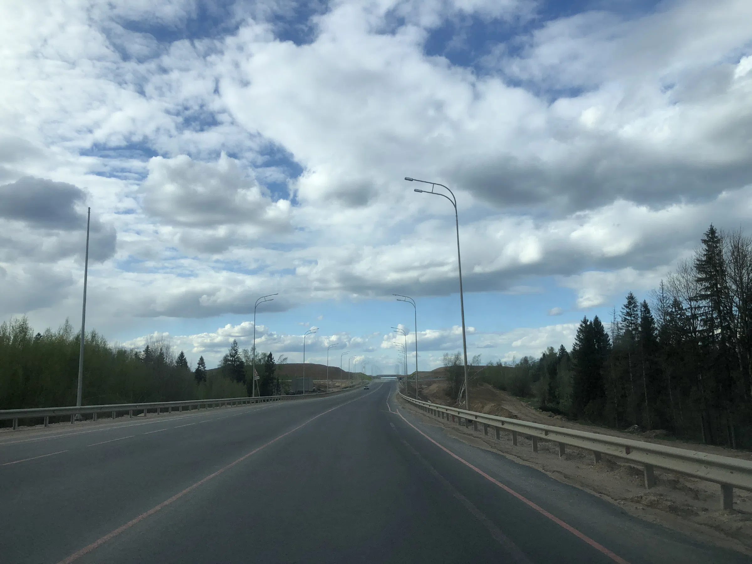 Дорога в лесу, фото 4