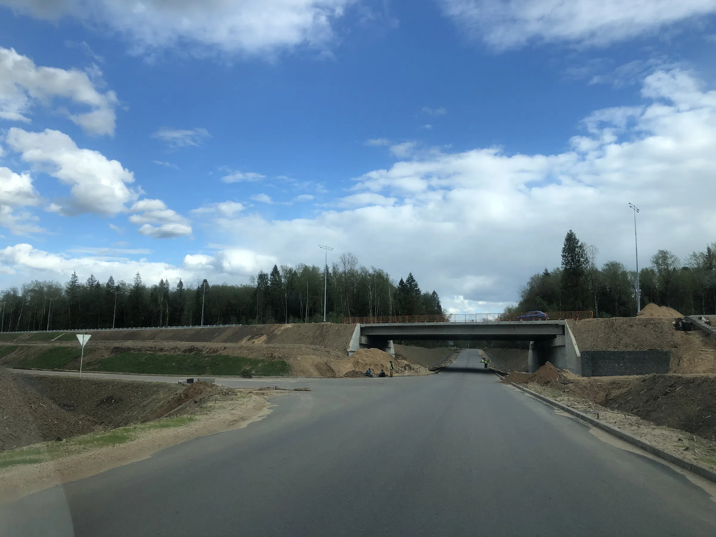 Дорога в лесу, фото 23
