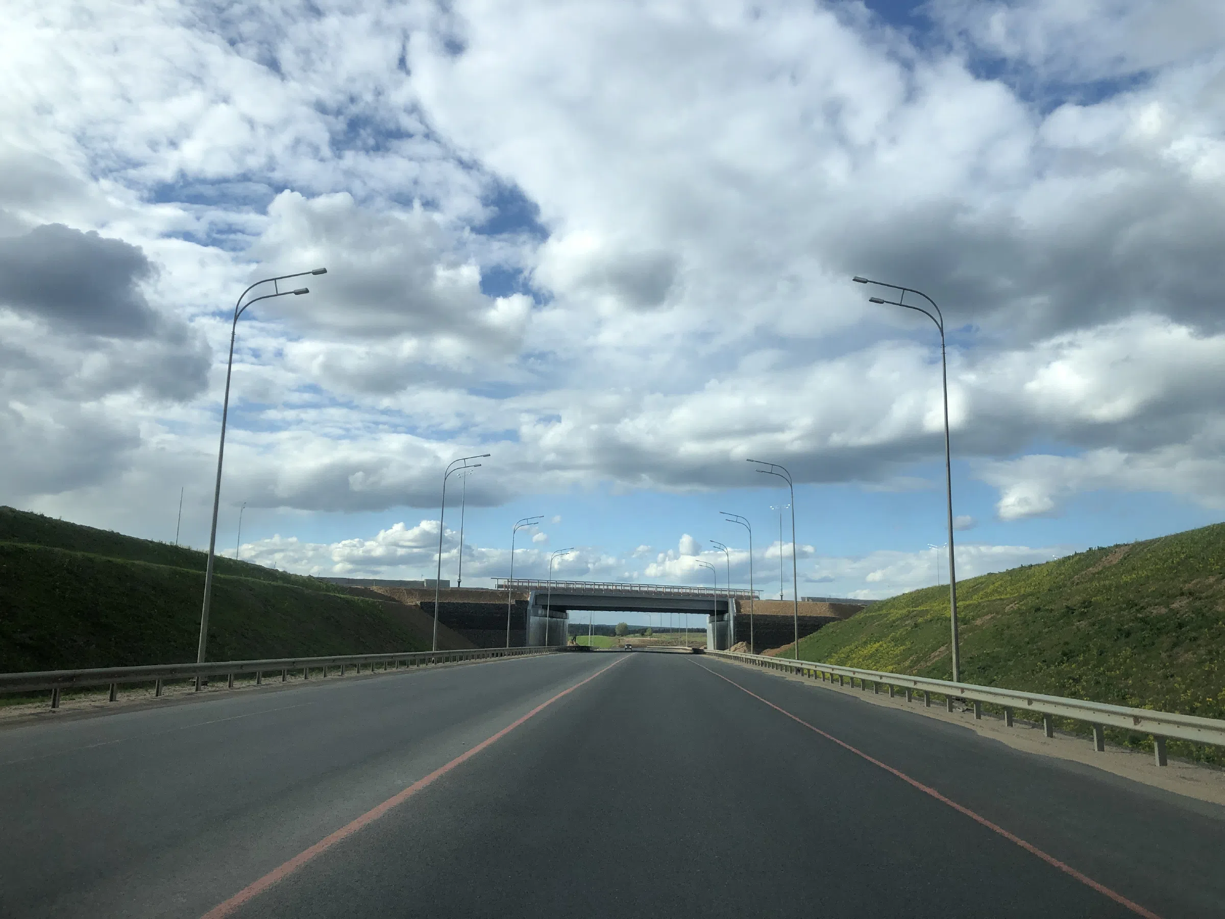 Дорога в лесу, фото 5