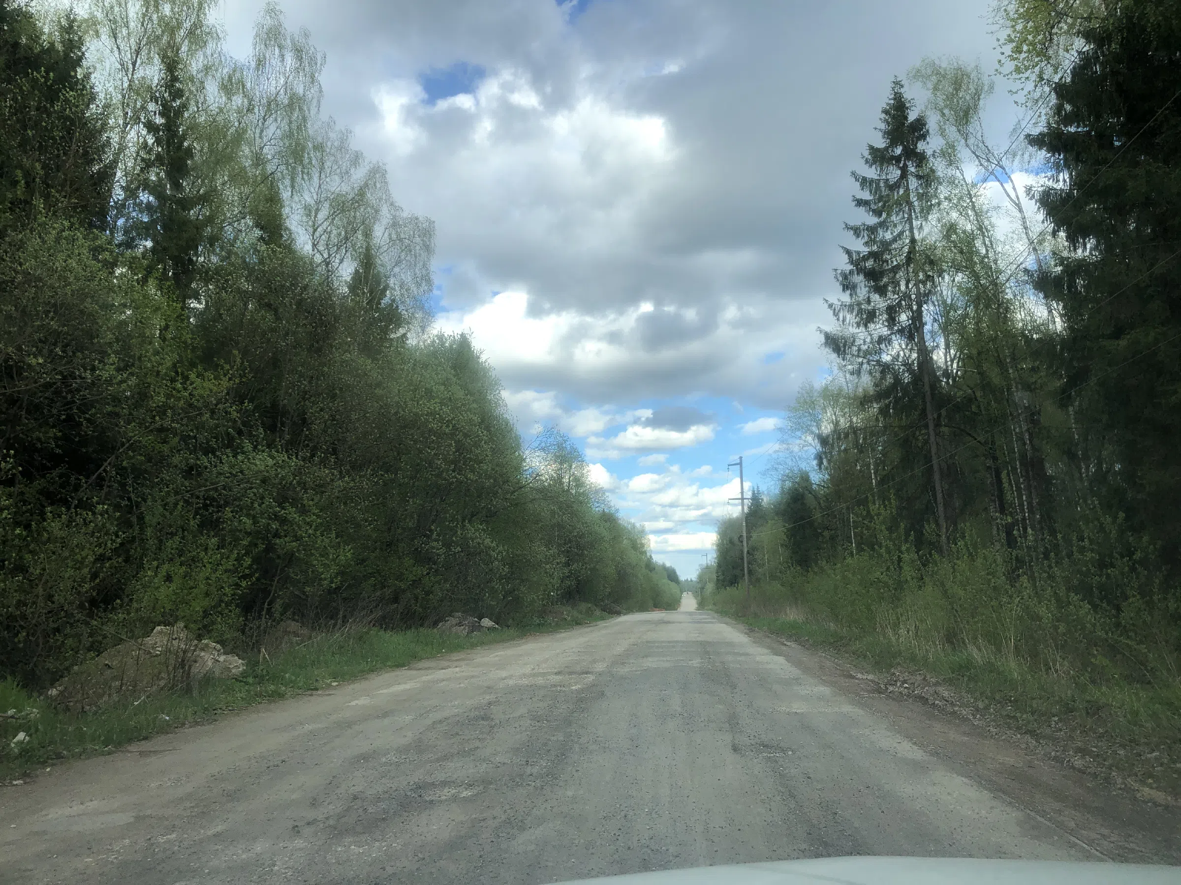 Дорога в лесу, фото 18