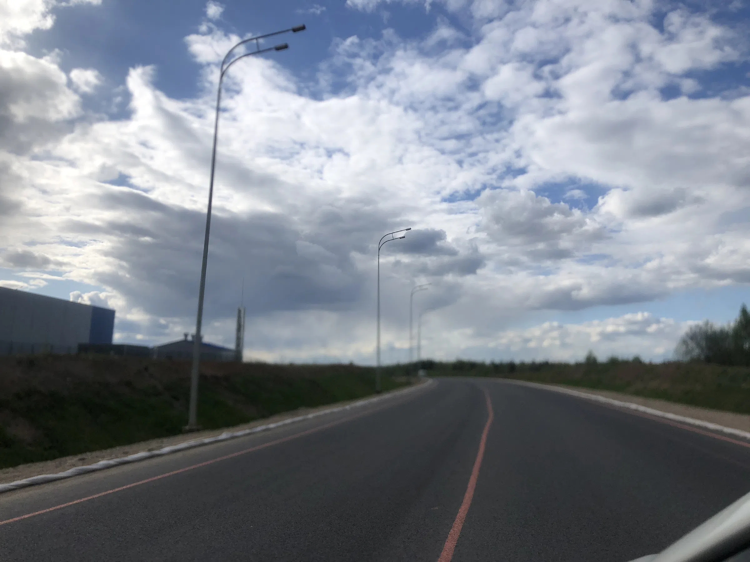 Дорога в лесу, фото 2