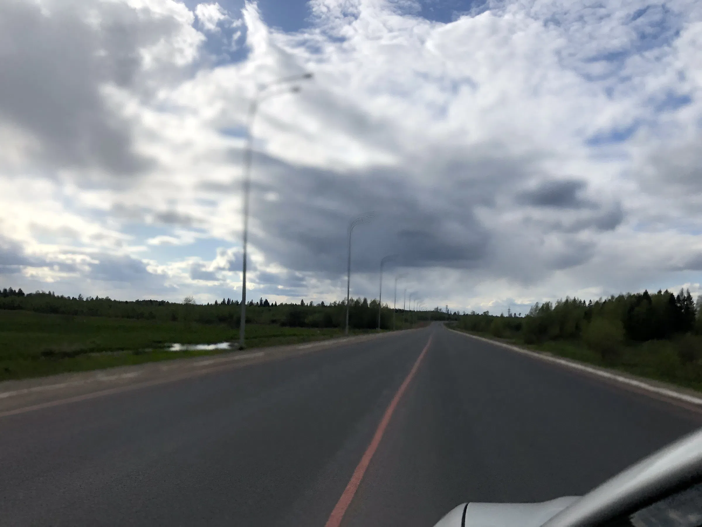 Дорога в лесу, фото 3