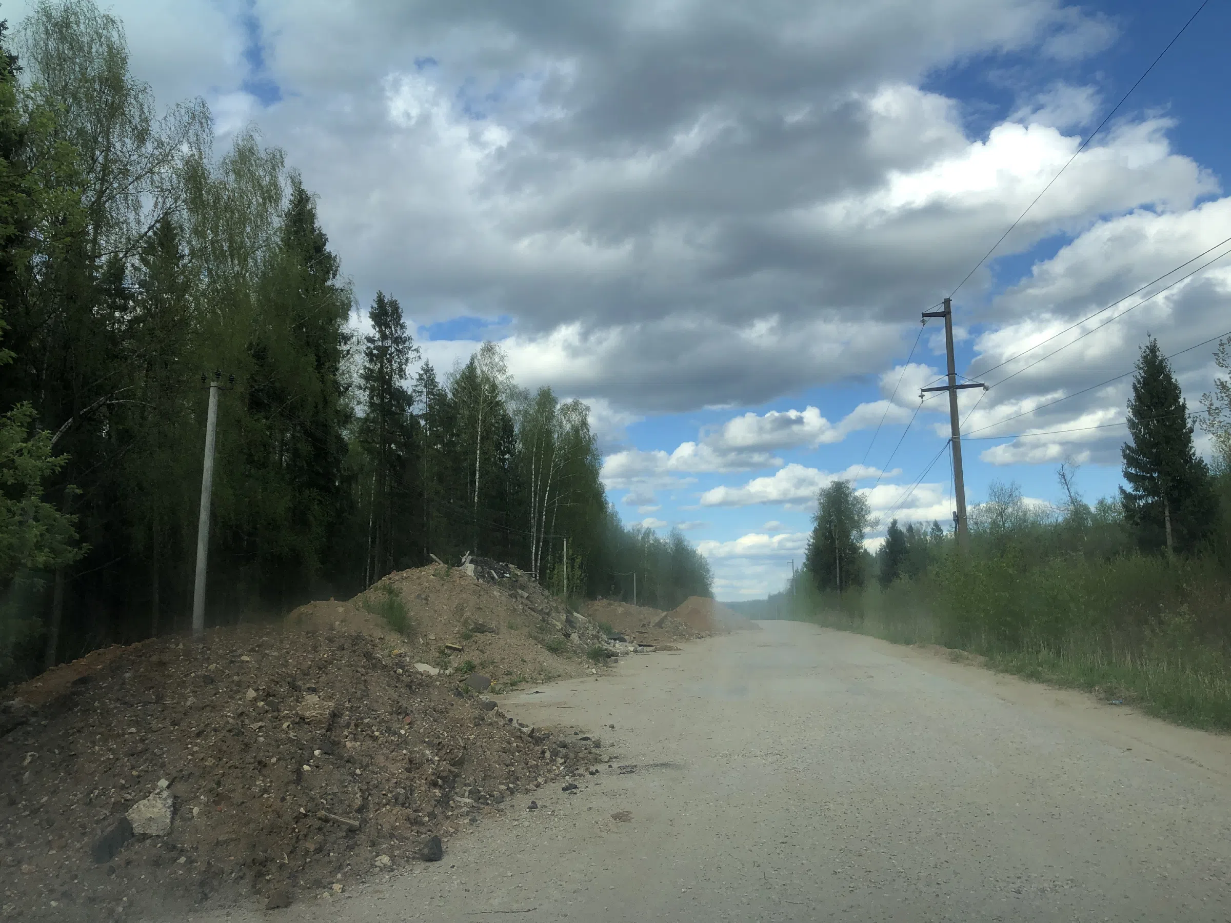 Дорога в лесу, фото 10