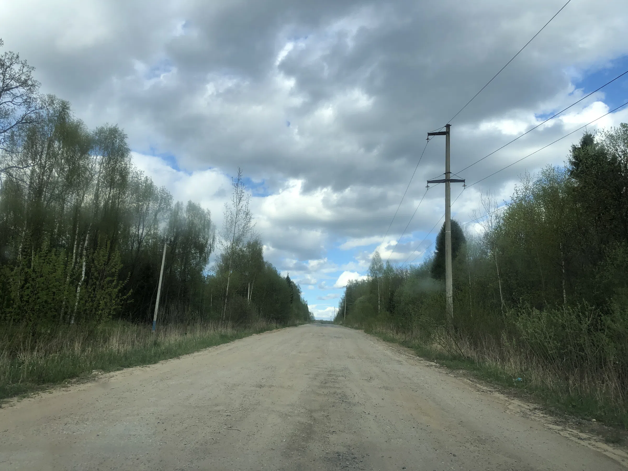 Дорога в лесу, фото 15