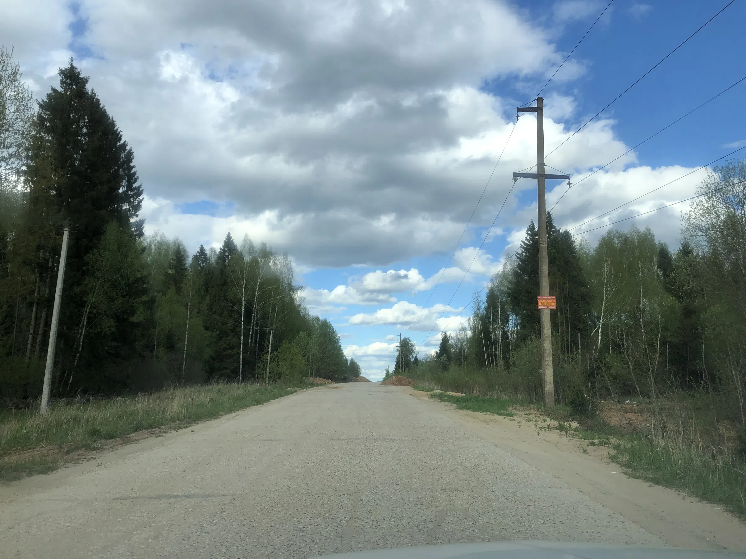 Дорога в лесу, фото 9