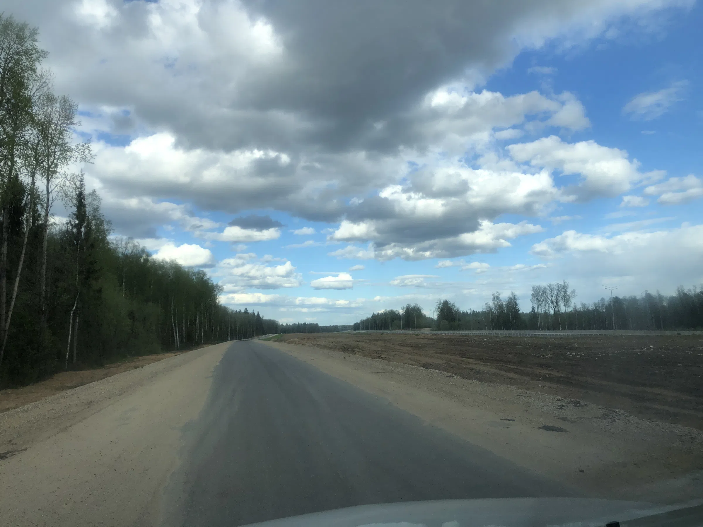 Дорога в лесу, фото 20