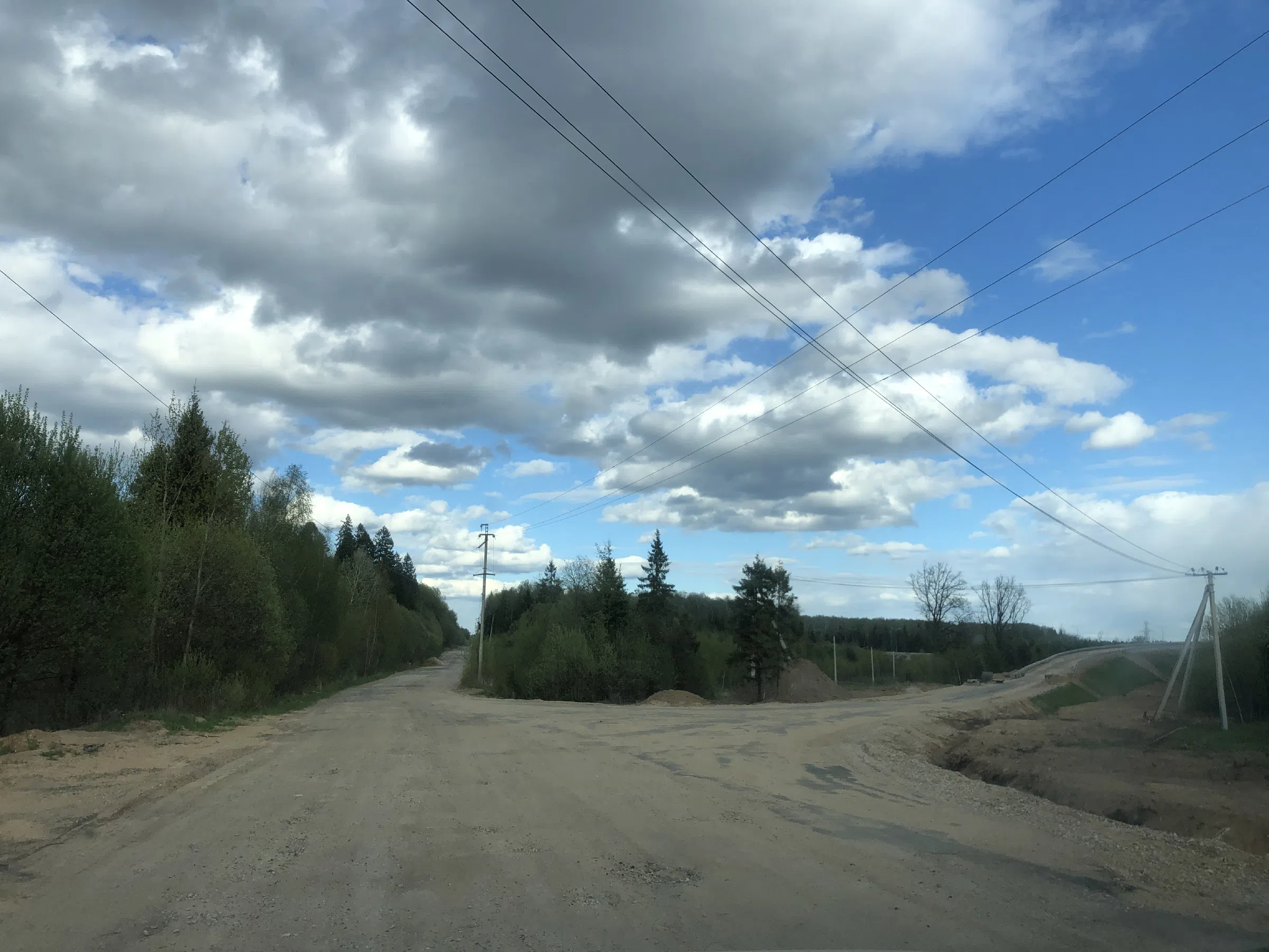 Дорога в лесу, фото 17
