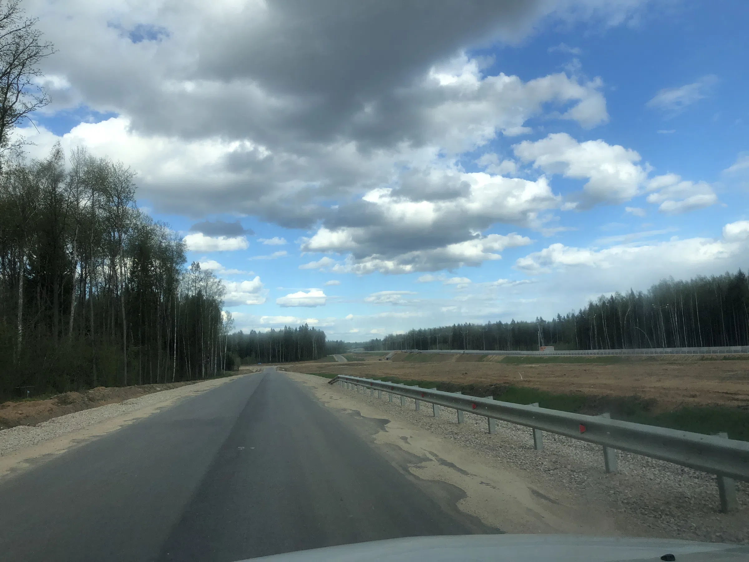 Дорога в лесу, фото 22