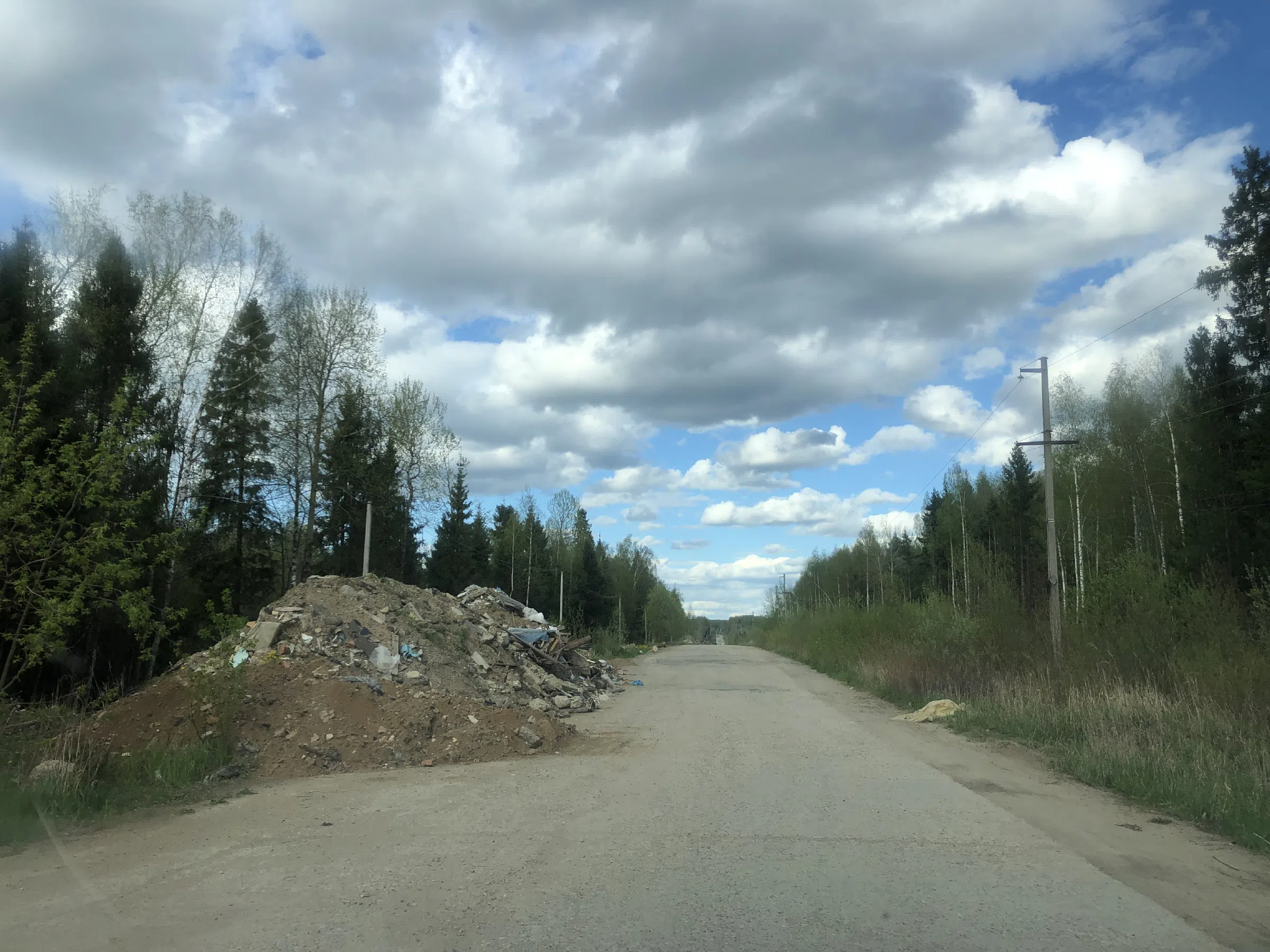 Дорога в лесу, фото 11