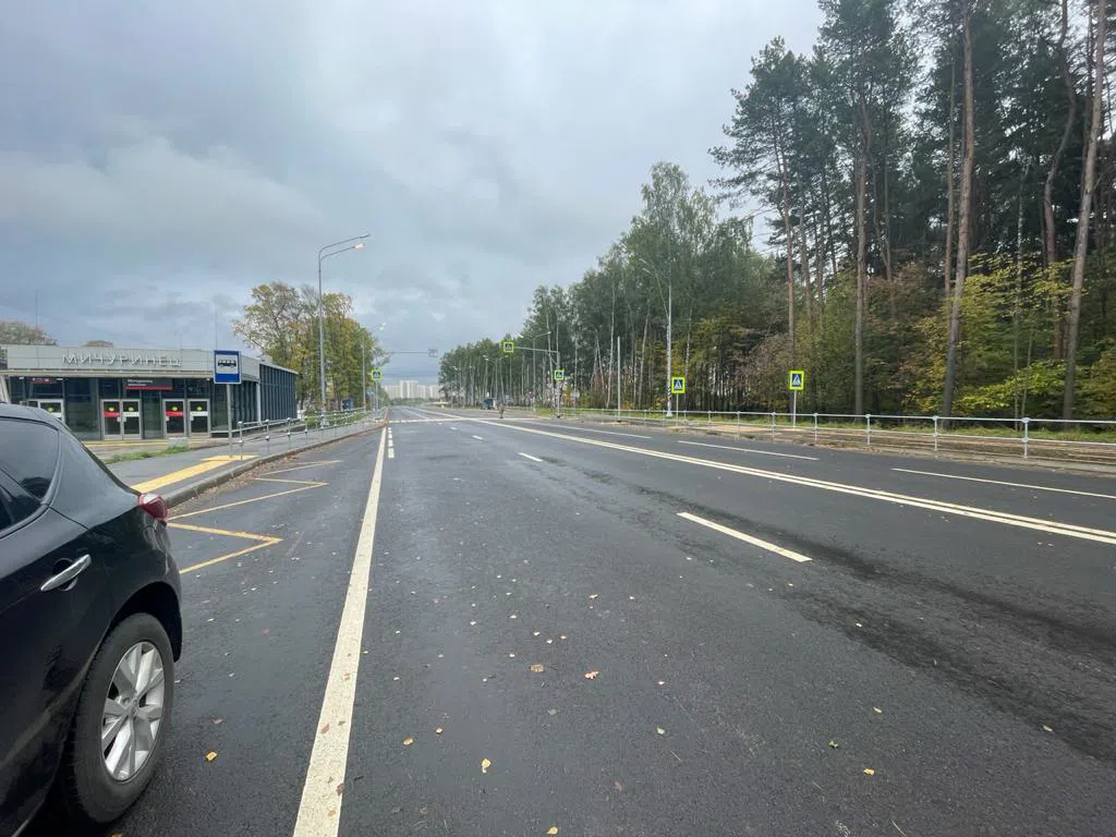 Широкая дорога с лесом, фото 14