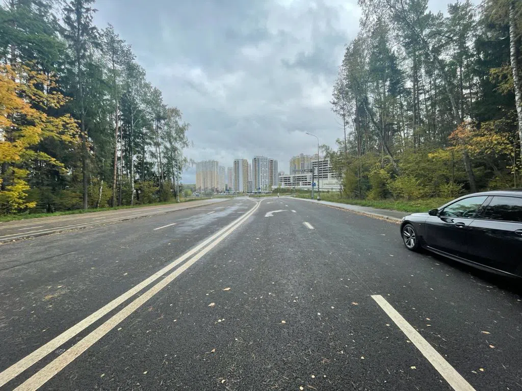 Широкая дорога с лесом, фото 4