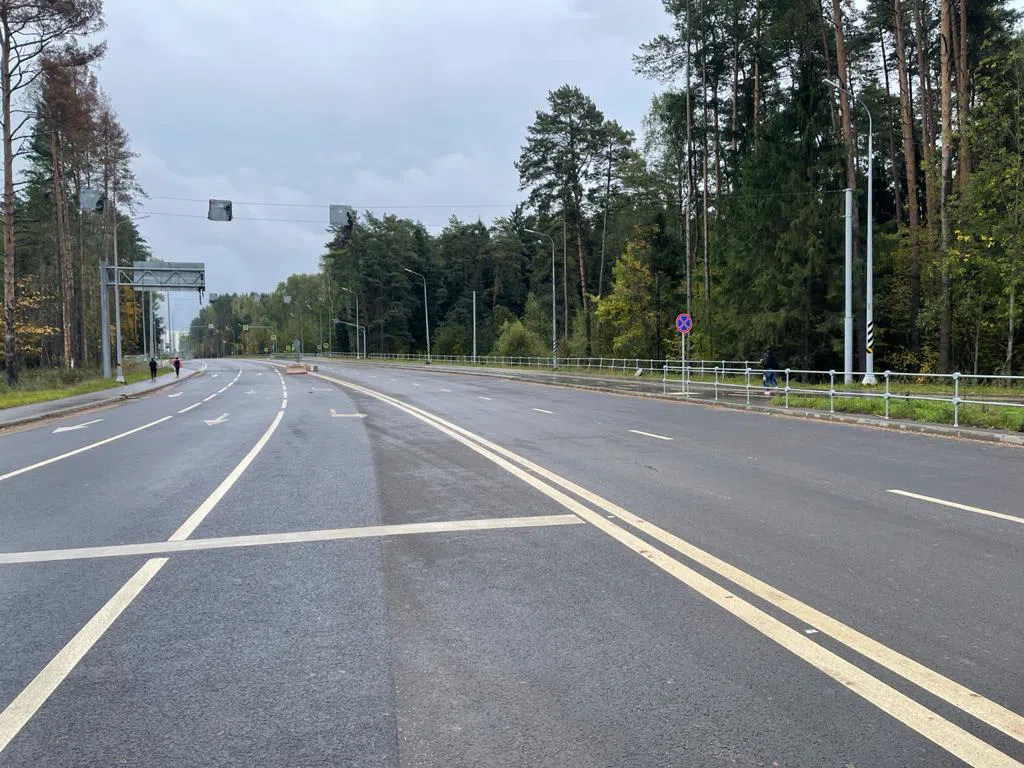 Широкая дорога с лесом, фото 12