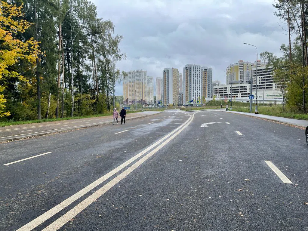 Широкая дорога с лесом, фото 15