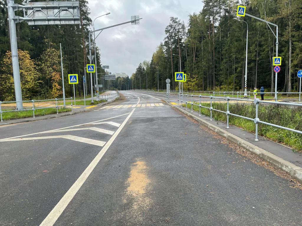 Широкая дорога с лесом, фото 17