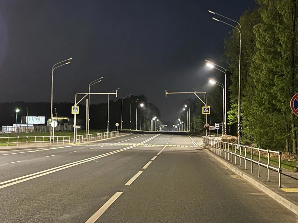 Широкая дорога с лесом, фото 18