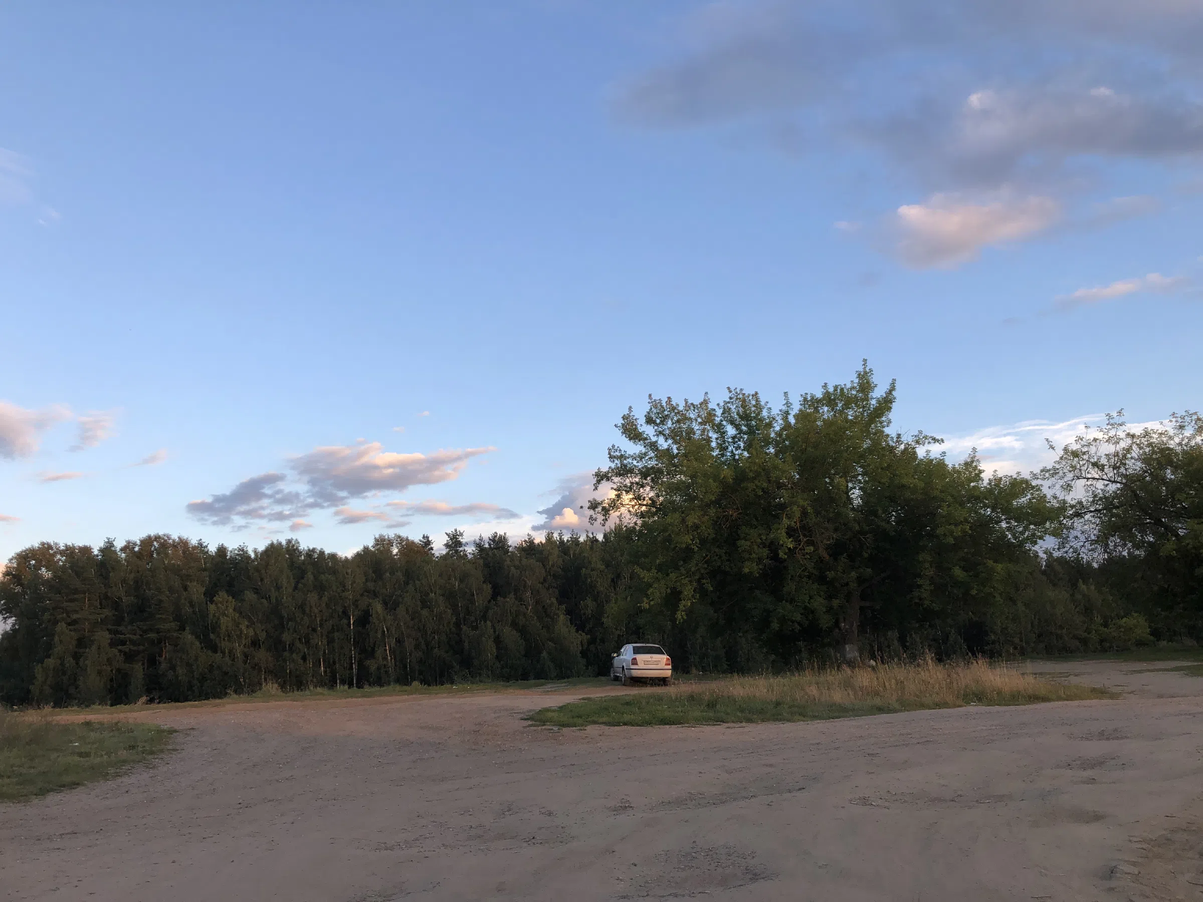 Река рядом с лесом, фото 2