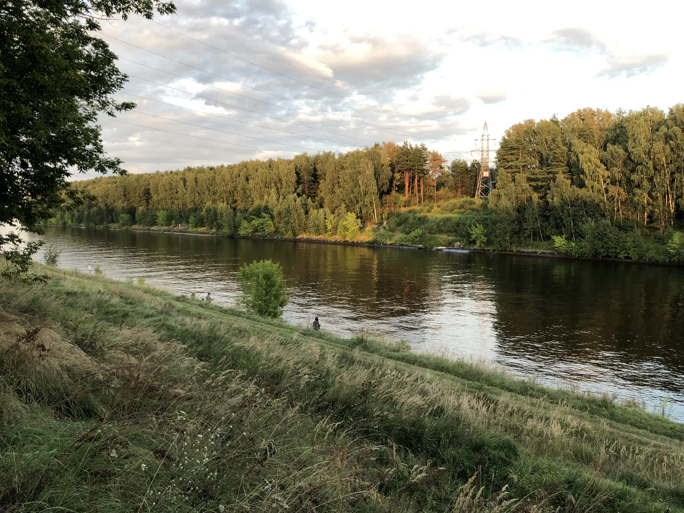 Река рядом с лесом, фото 5
