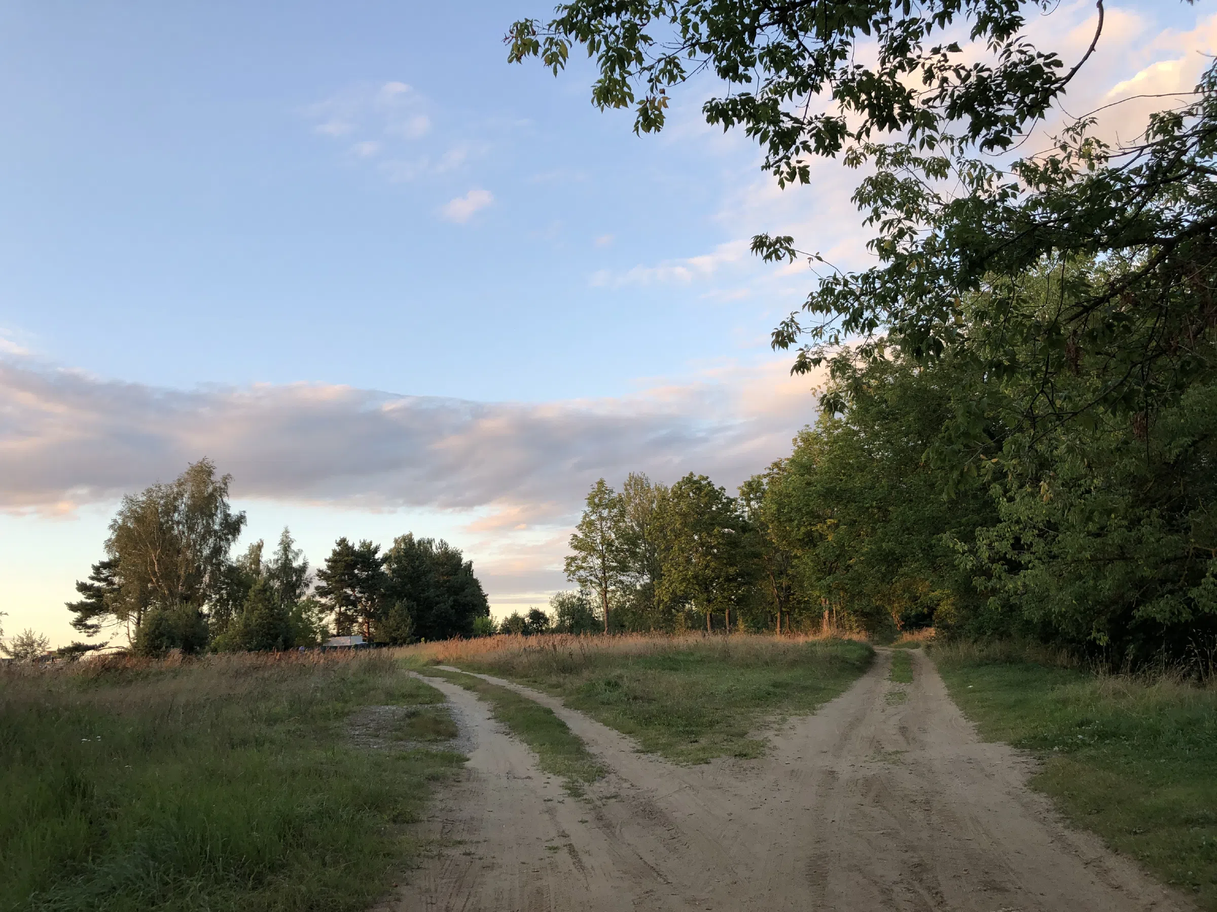 Река рядом с лесом, фото 21