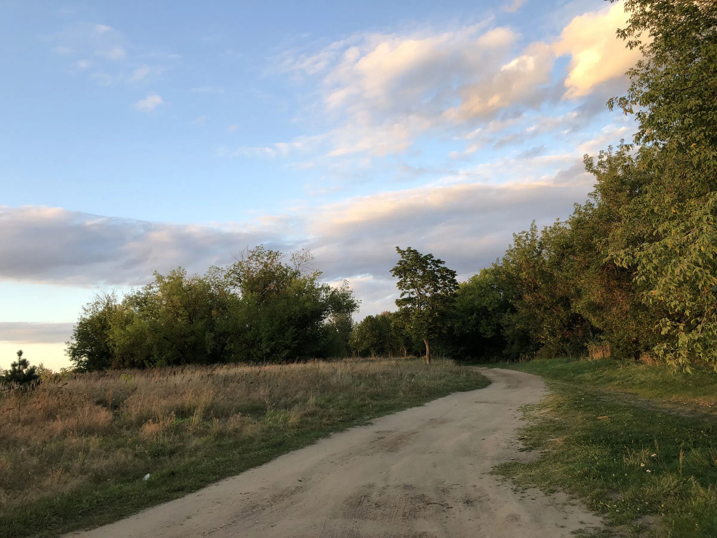 Река рядом с лесом, фото 18