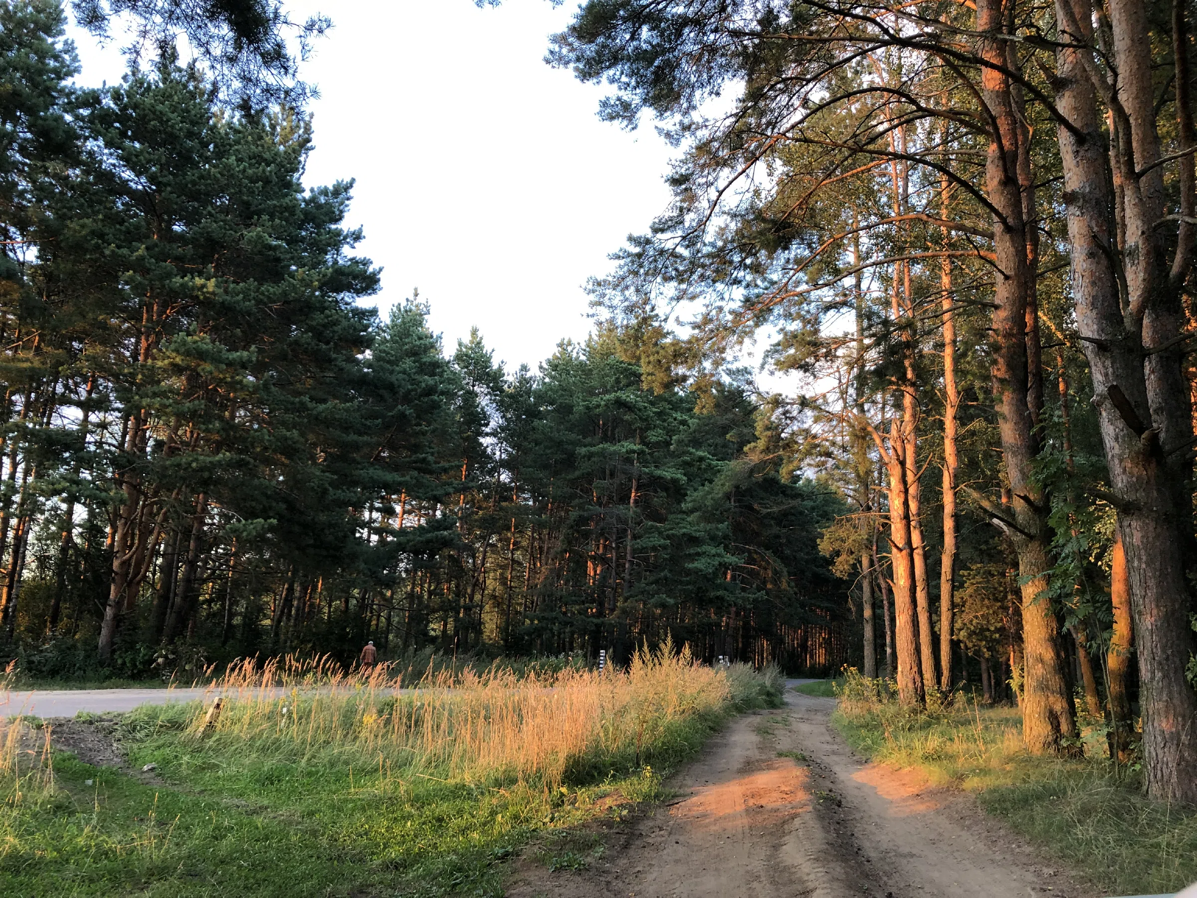 Река рядом с лесом, фото 24