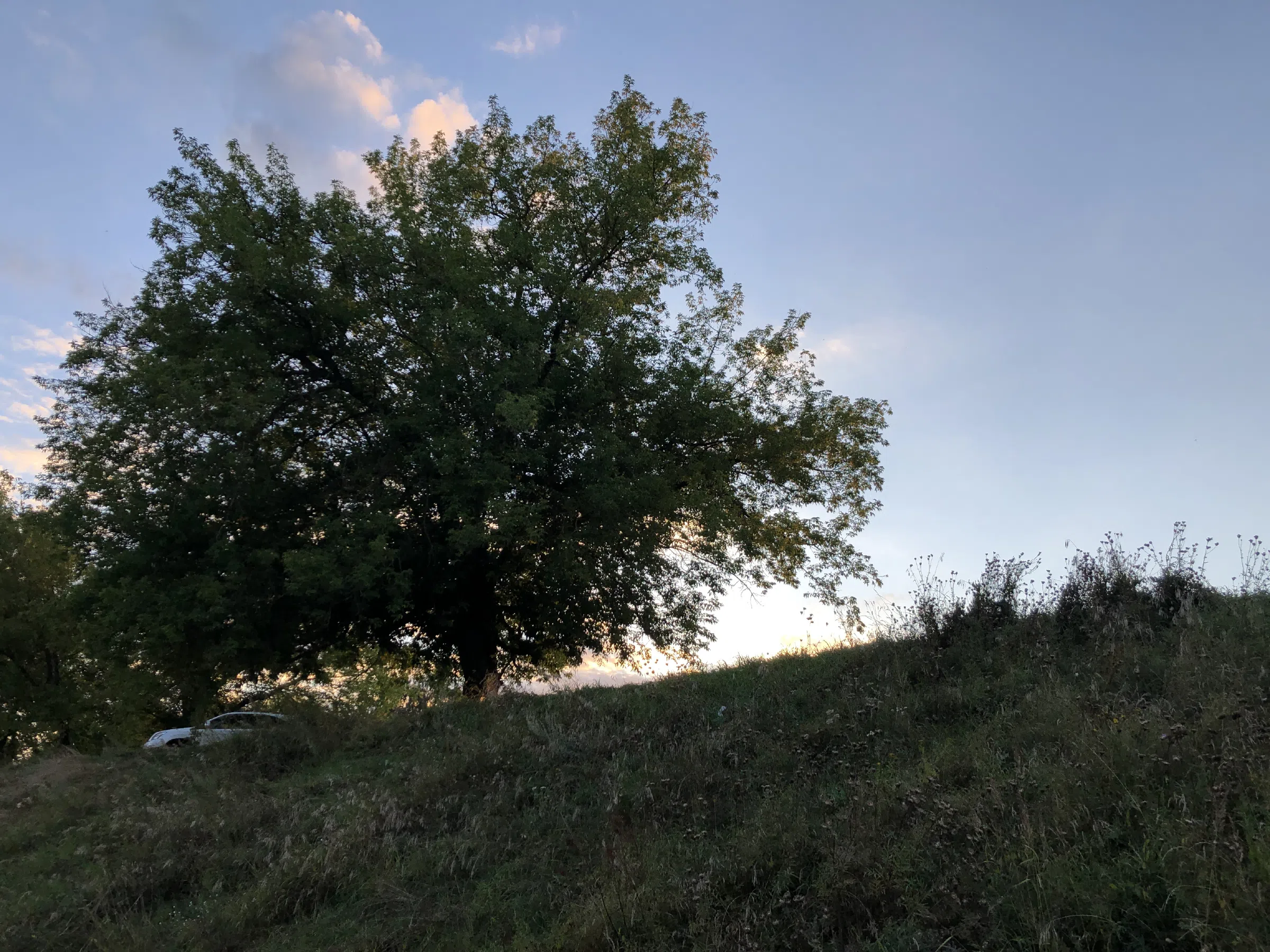 Река рядом с лесом, фото 10