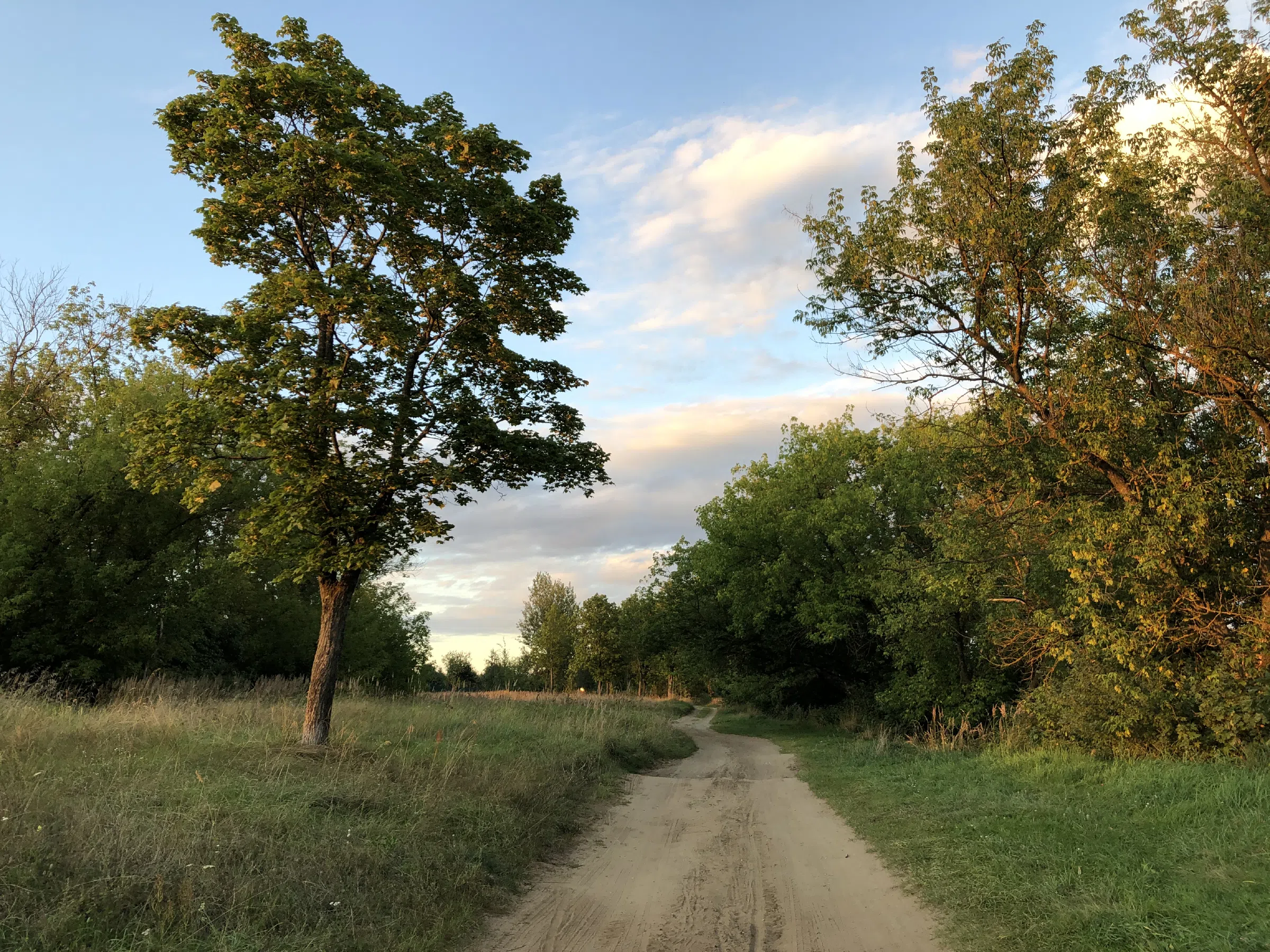 Река рядом с лесом, фото 20