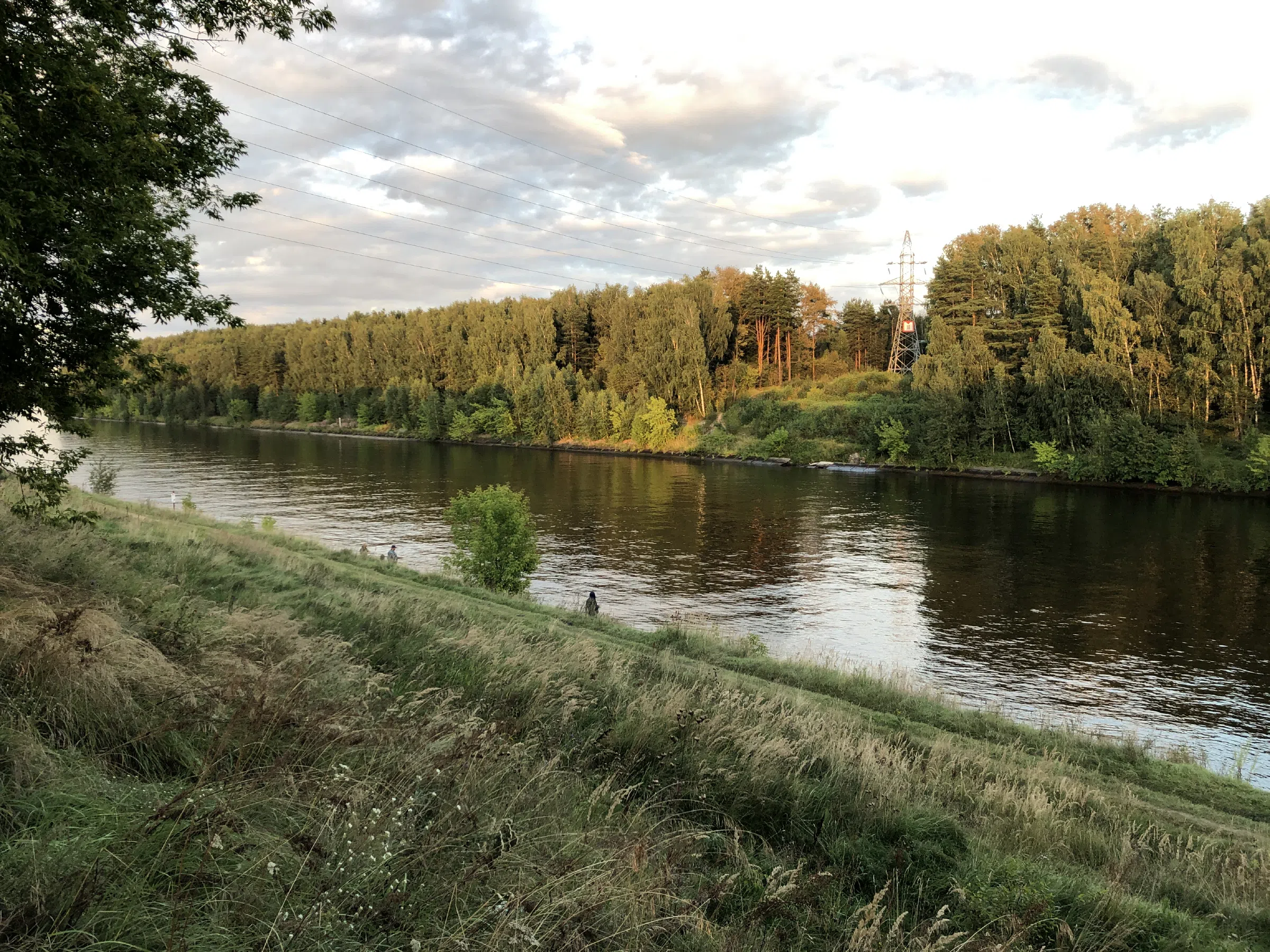 Река рядом с лесом, фото 6