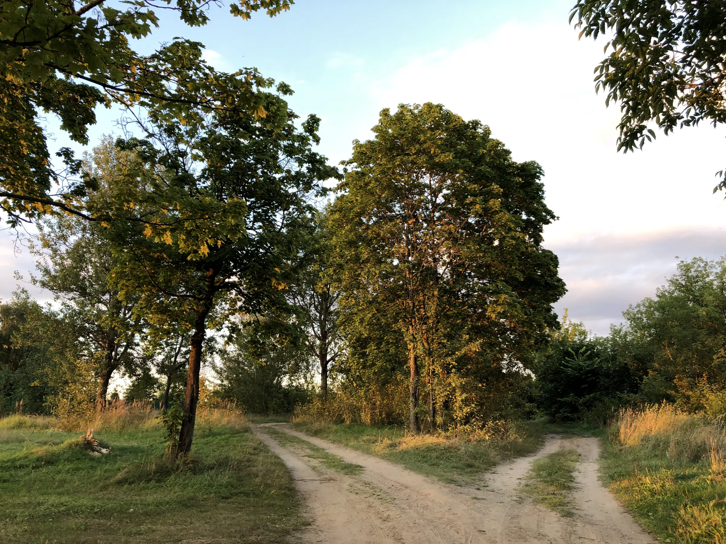 Река рядом с лесом, фото 23