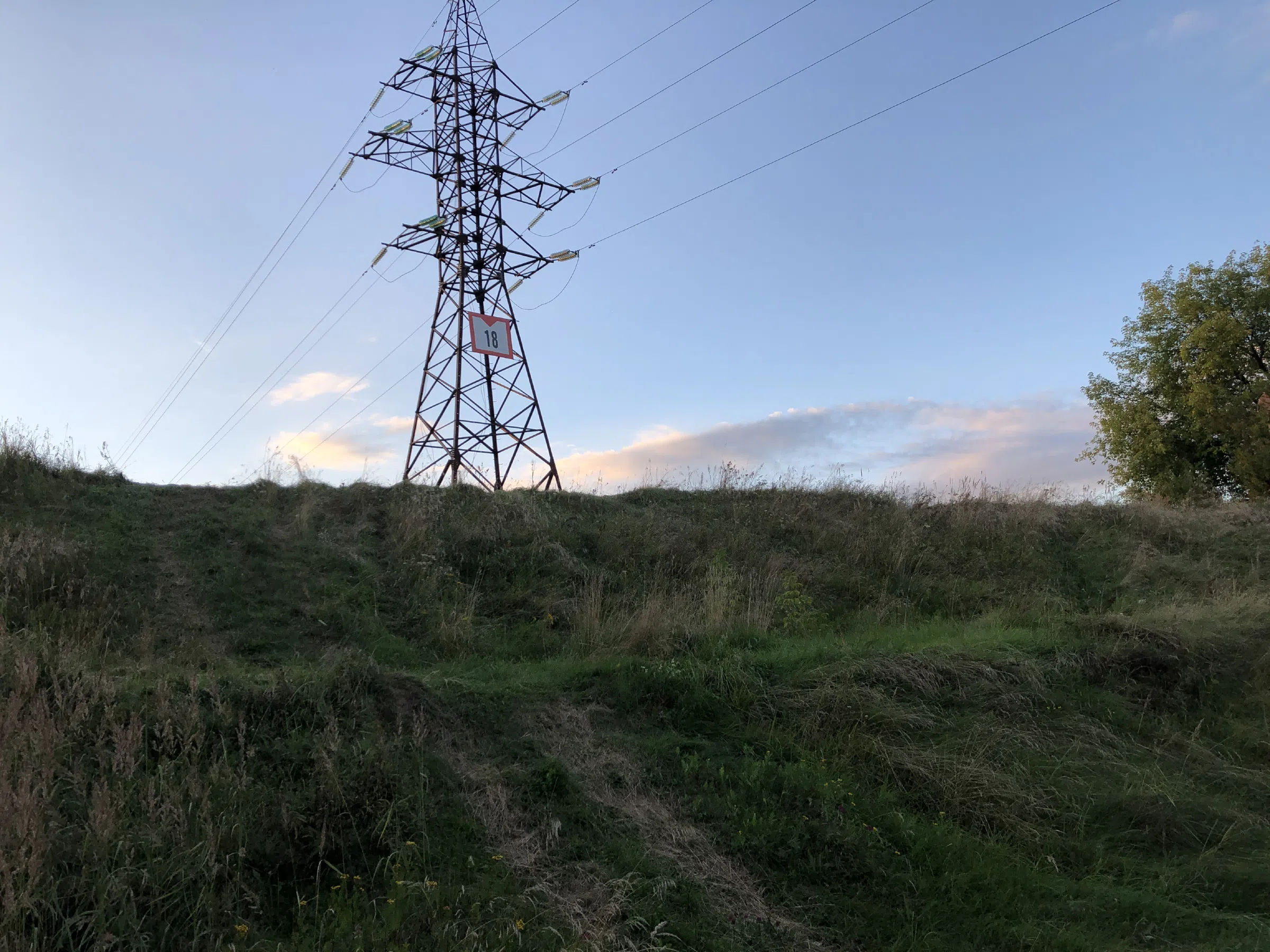 Река рядом с лесом, фото 15
